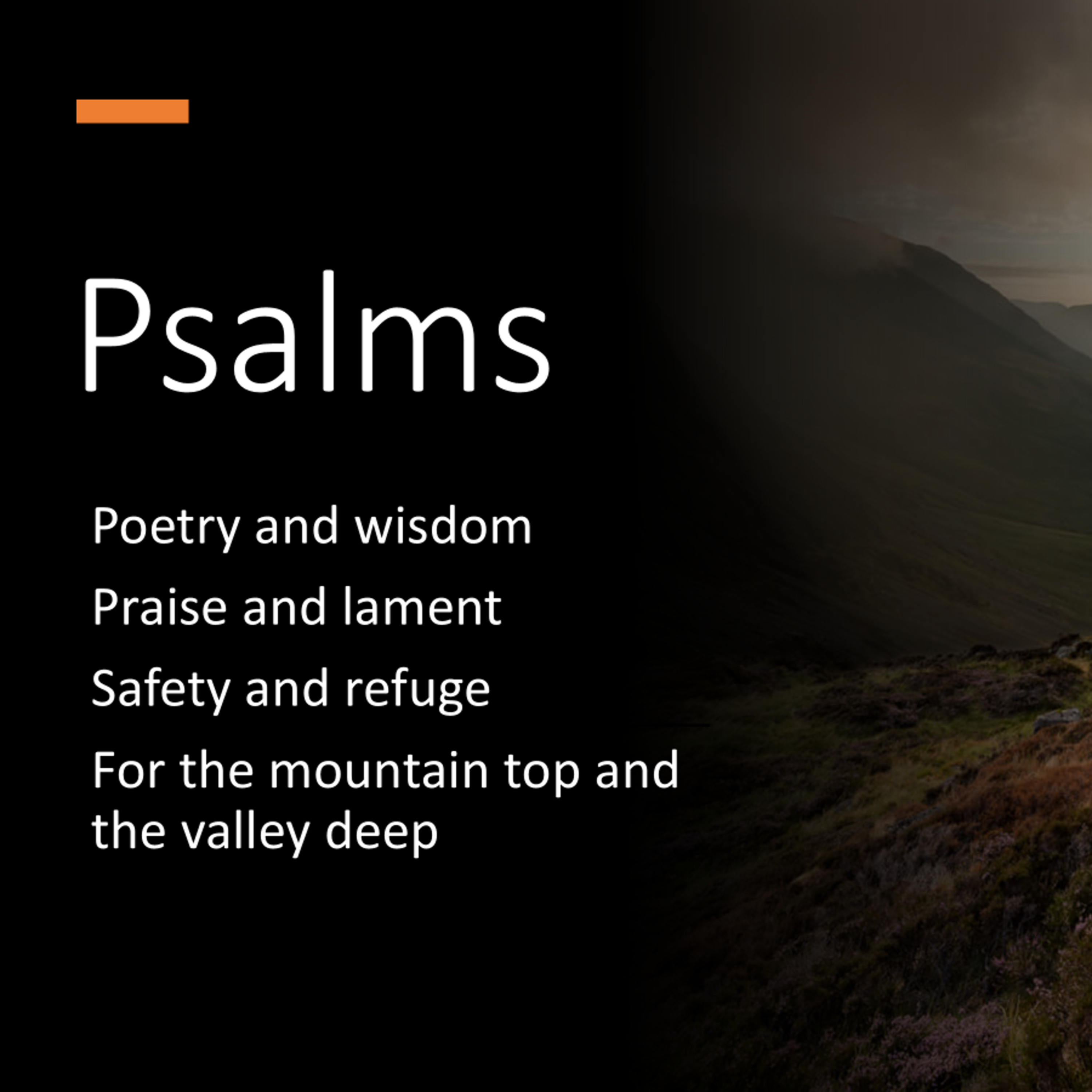 Psalms 1 episode artwork