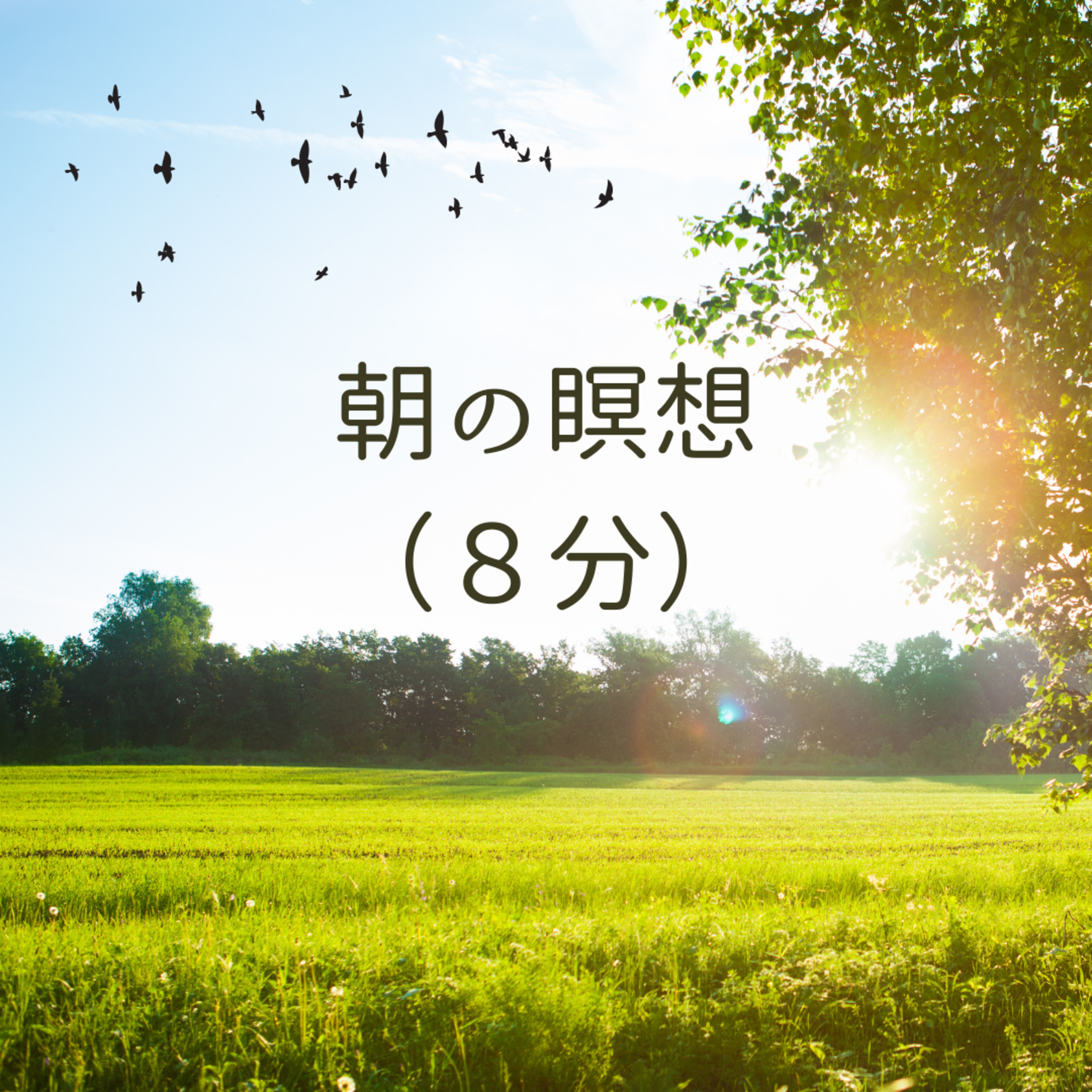 #15 朝の瞑想（８分） episode artwork
