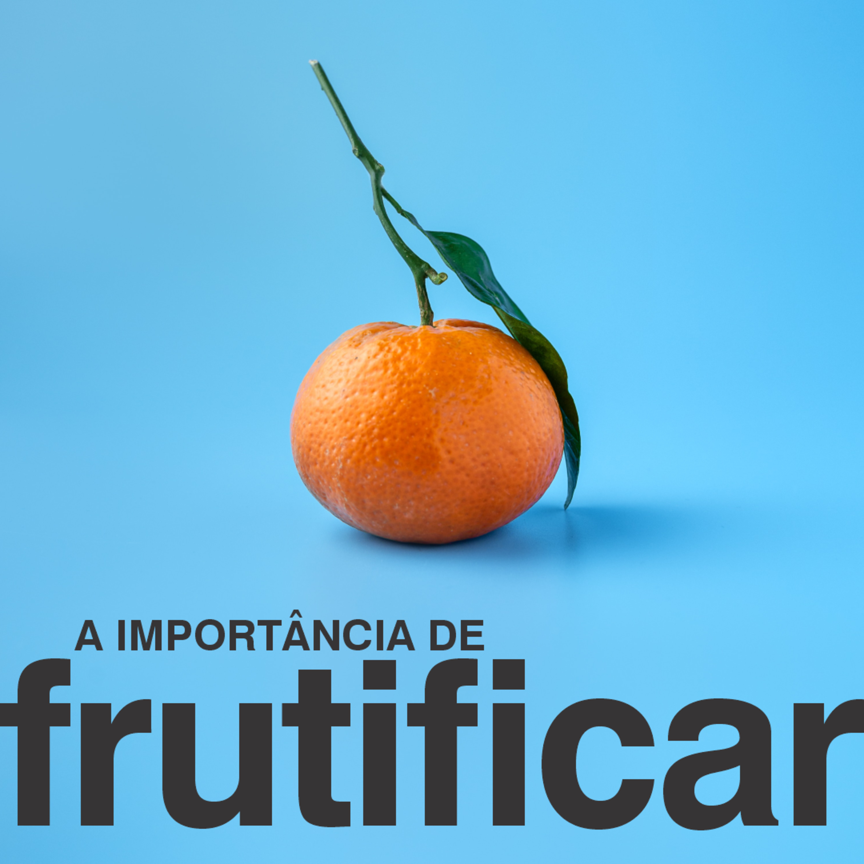 A importância de Frutificar episode artwork