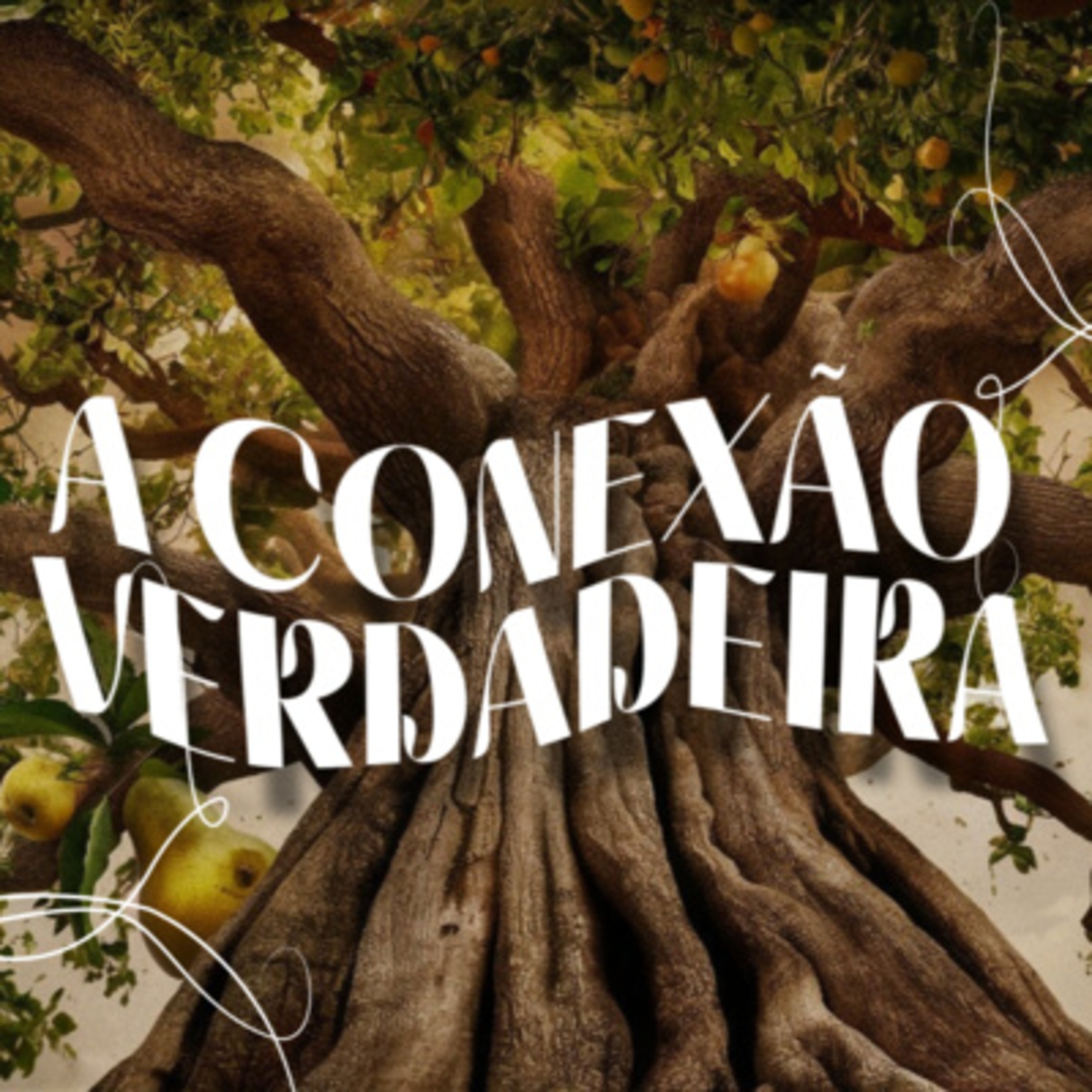 A Conexão Verdadeira  episode artwork