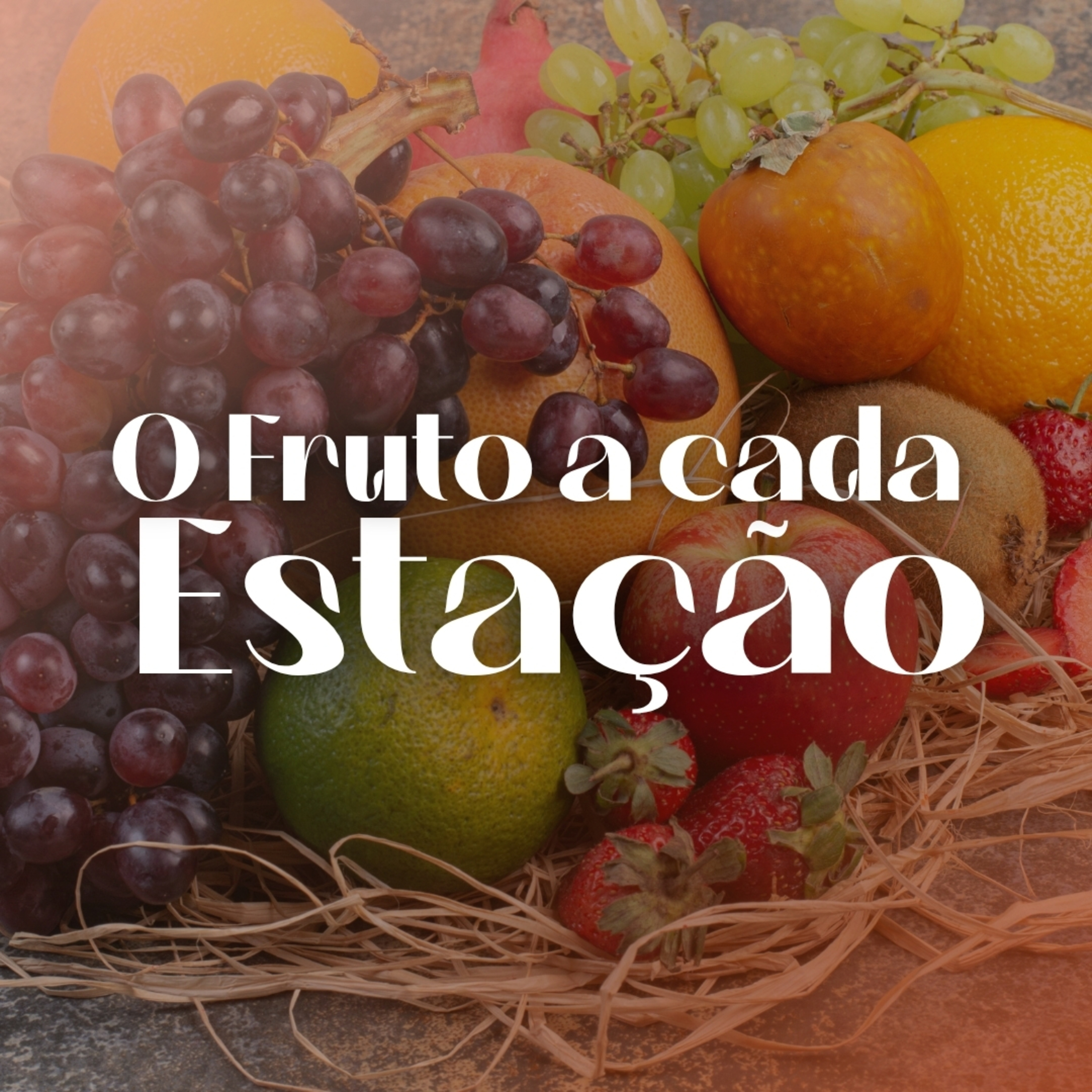 O fruto de cada estação episode artwork