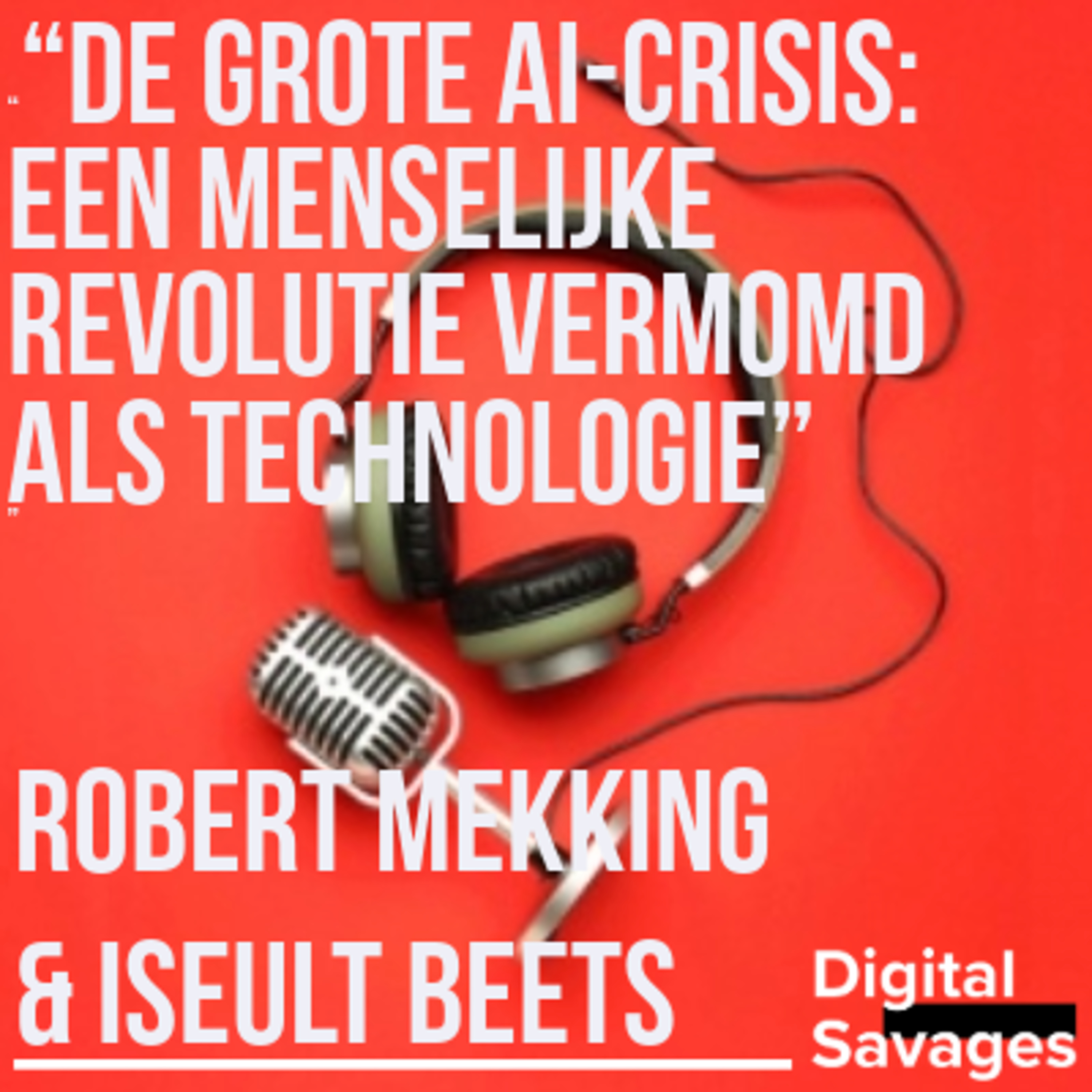 De Grote AI-crisis met Robert Mekking & Iseult Beets