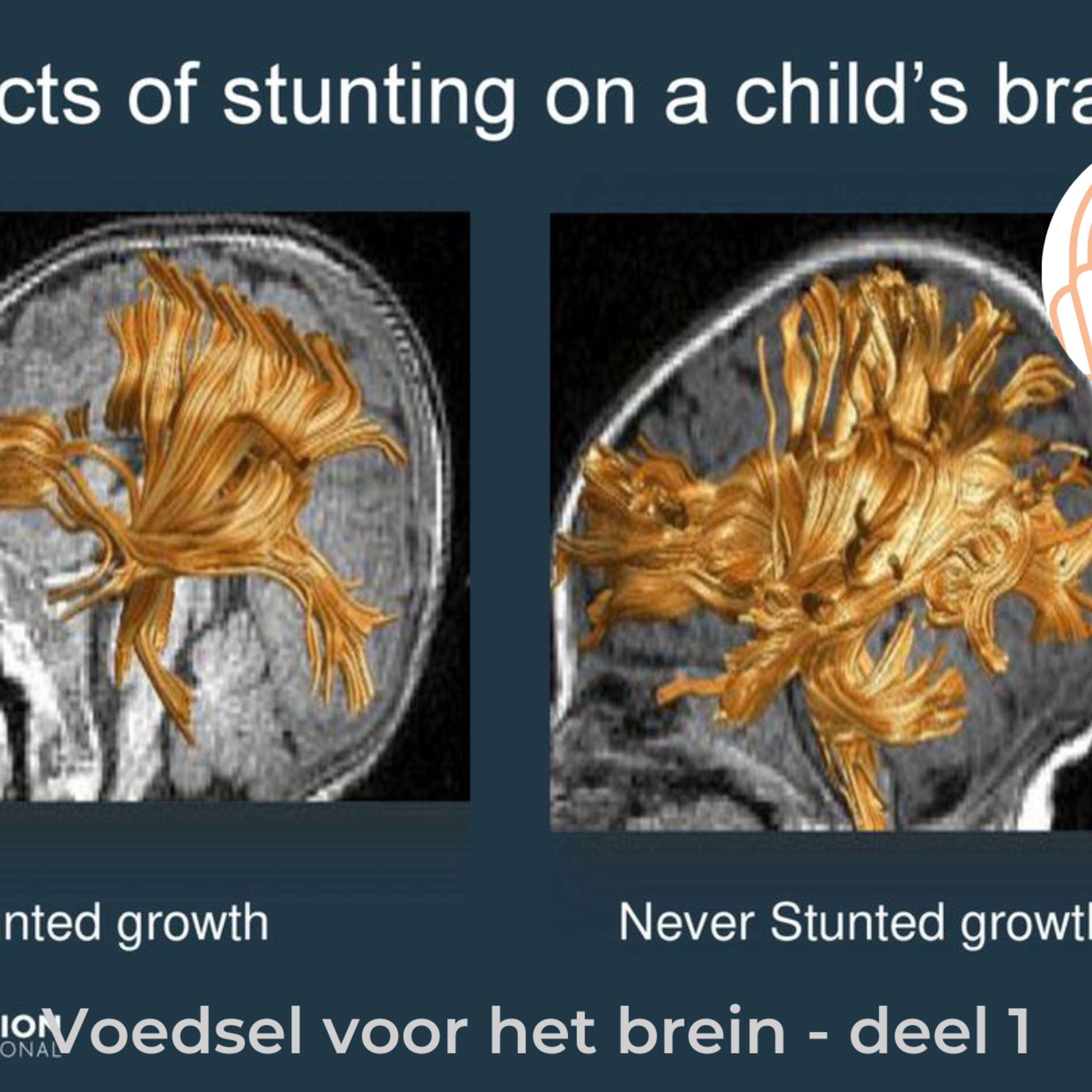Goed gedacht