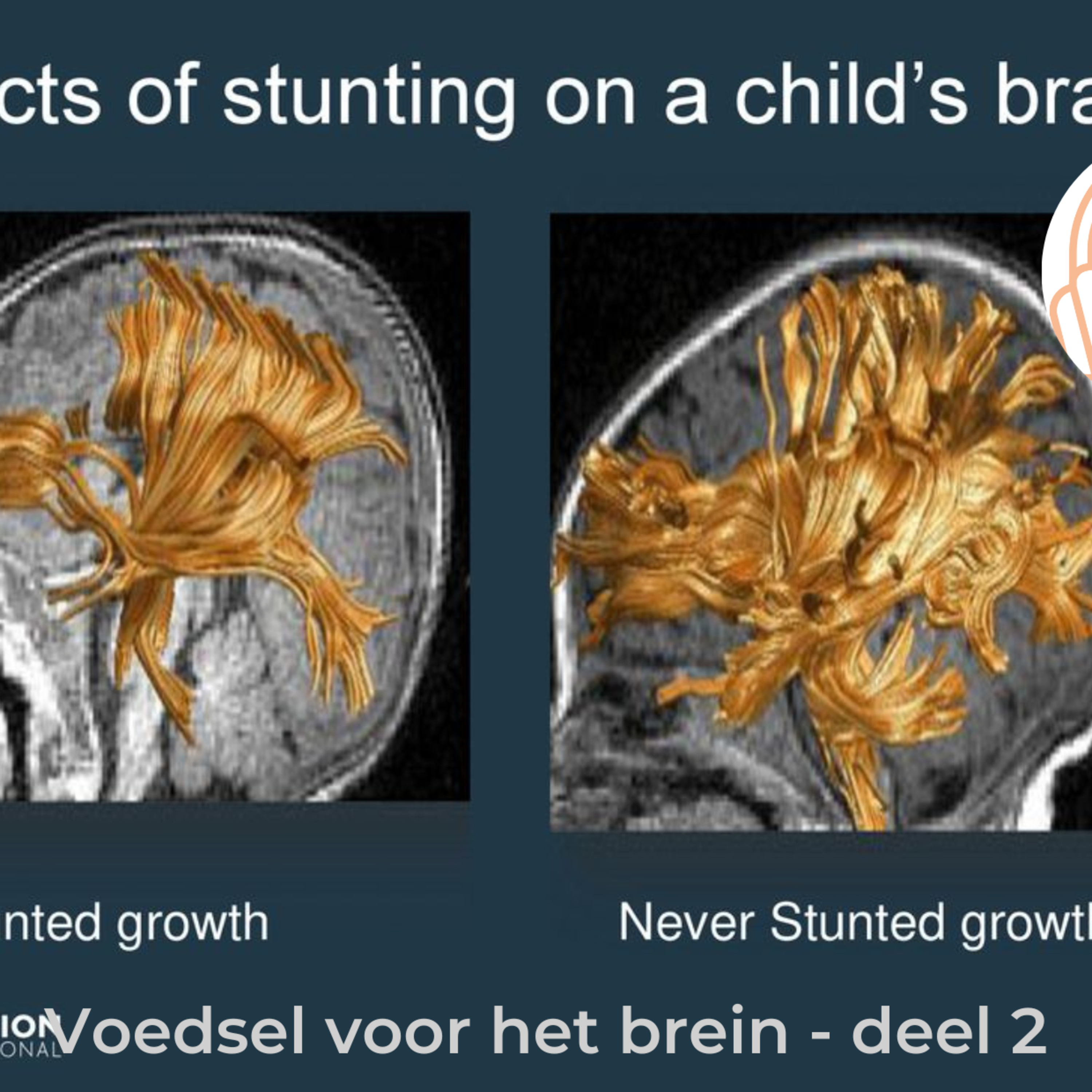 Goed gedacht