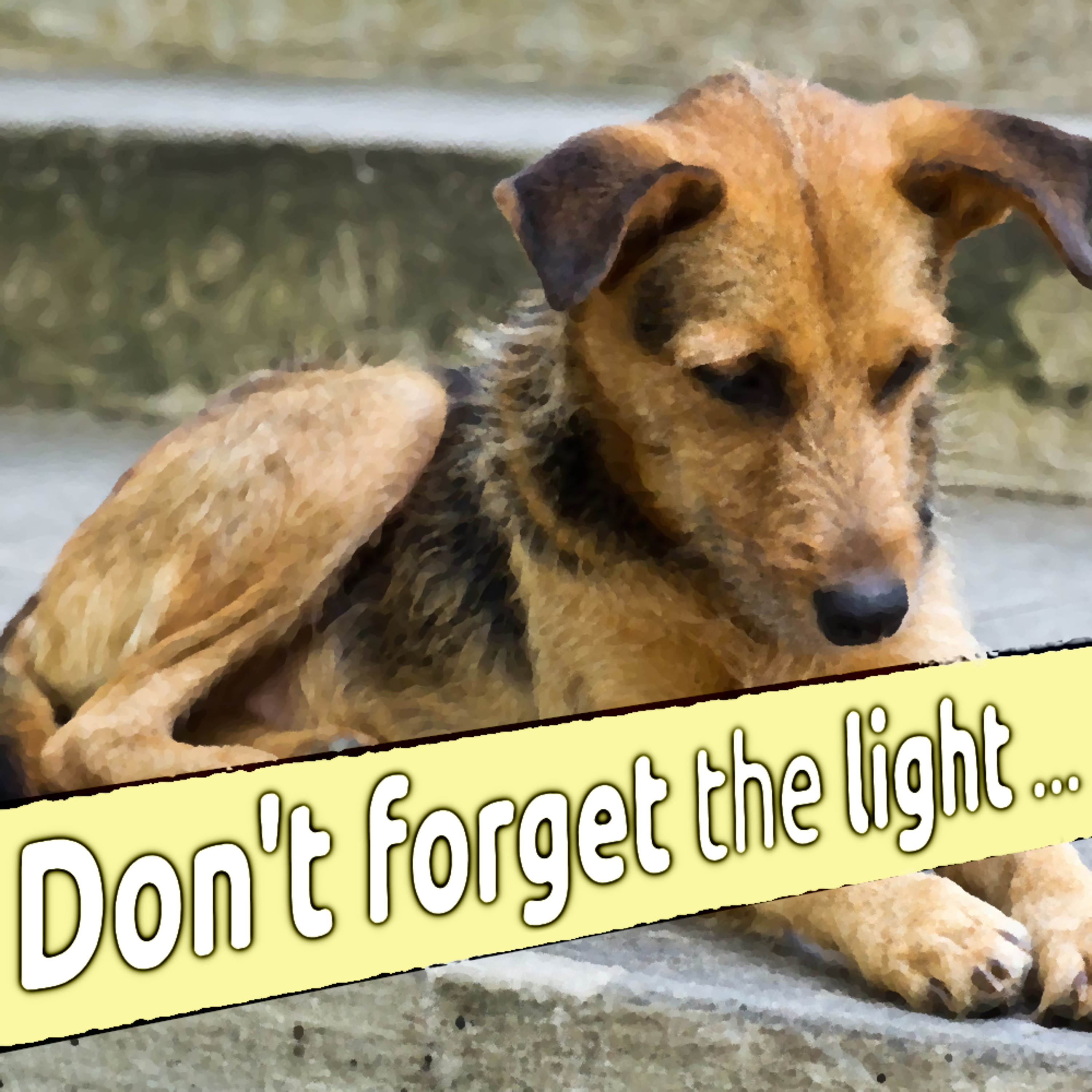 Don't forget the light ... episode artwork