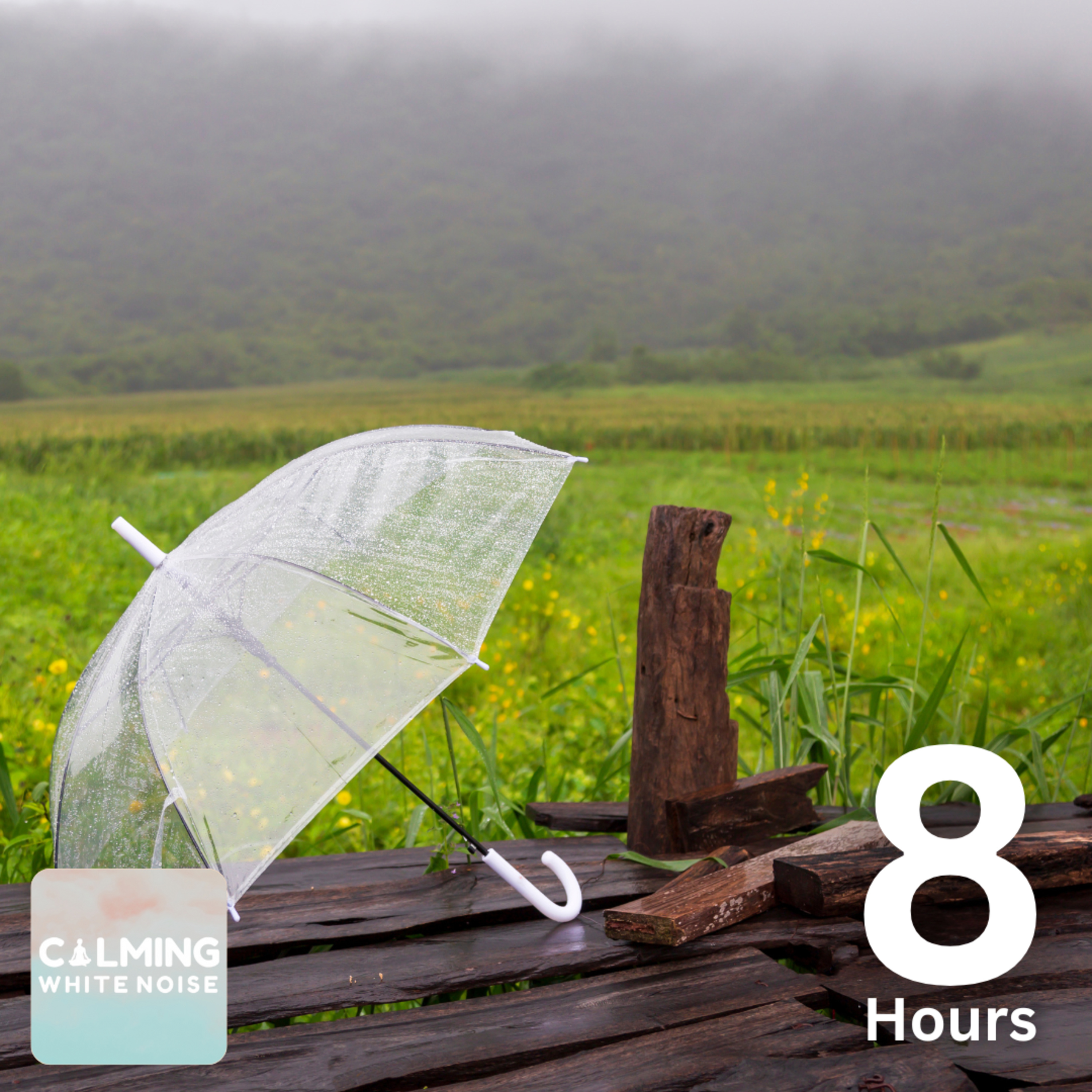 Relaxing Rain Sounds for Sleeping (8 Hours) | Night Rain with No Thunder episode artwork
