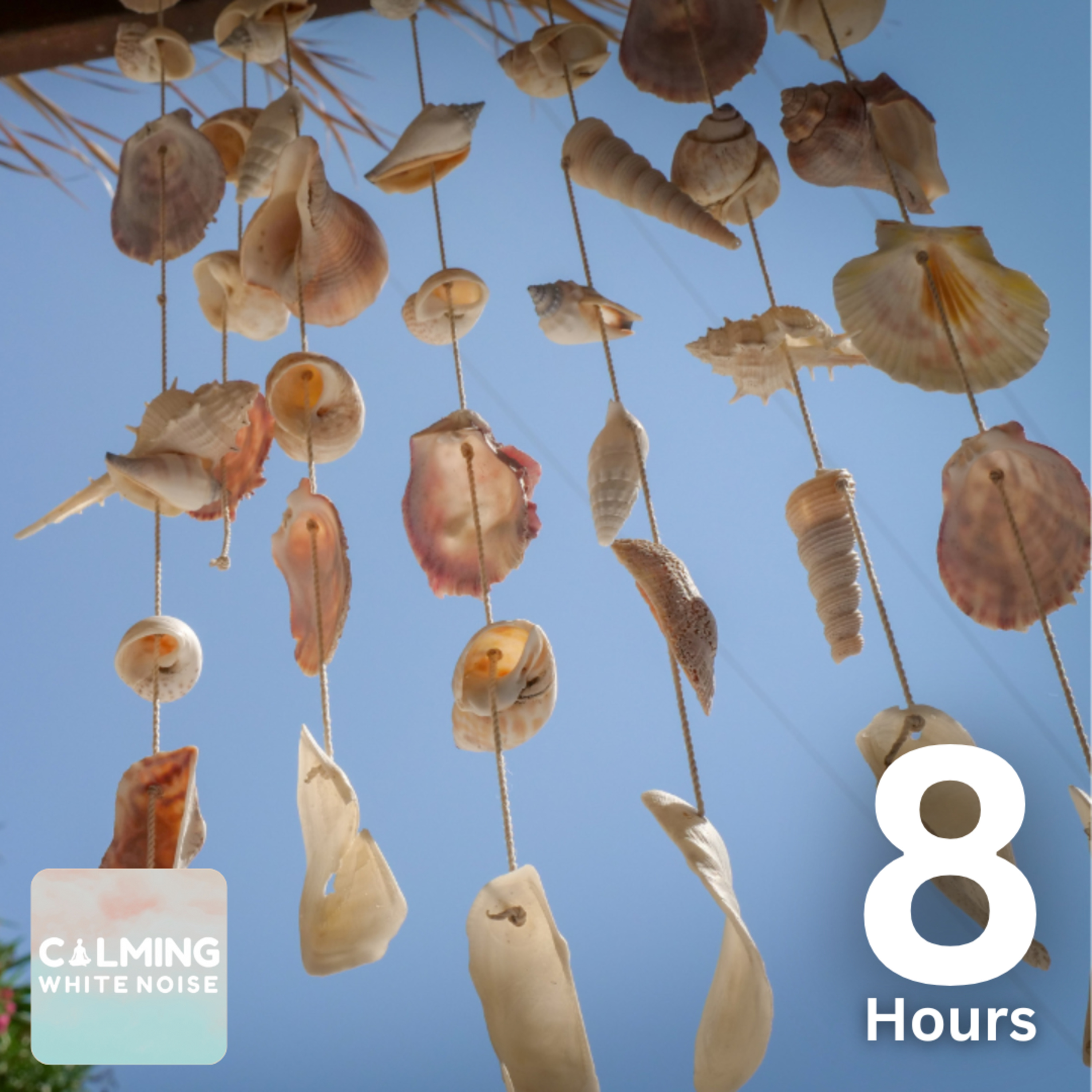 Seashell Wind Chimes and Waves Crashing (8 Hours) | Calming White Noise for Sleep, Study, and Stress Relief episode artwork