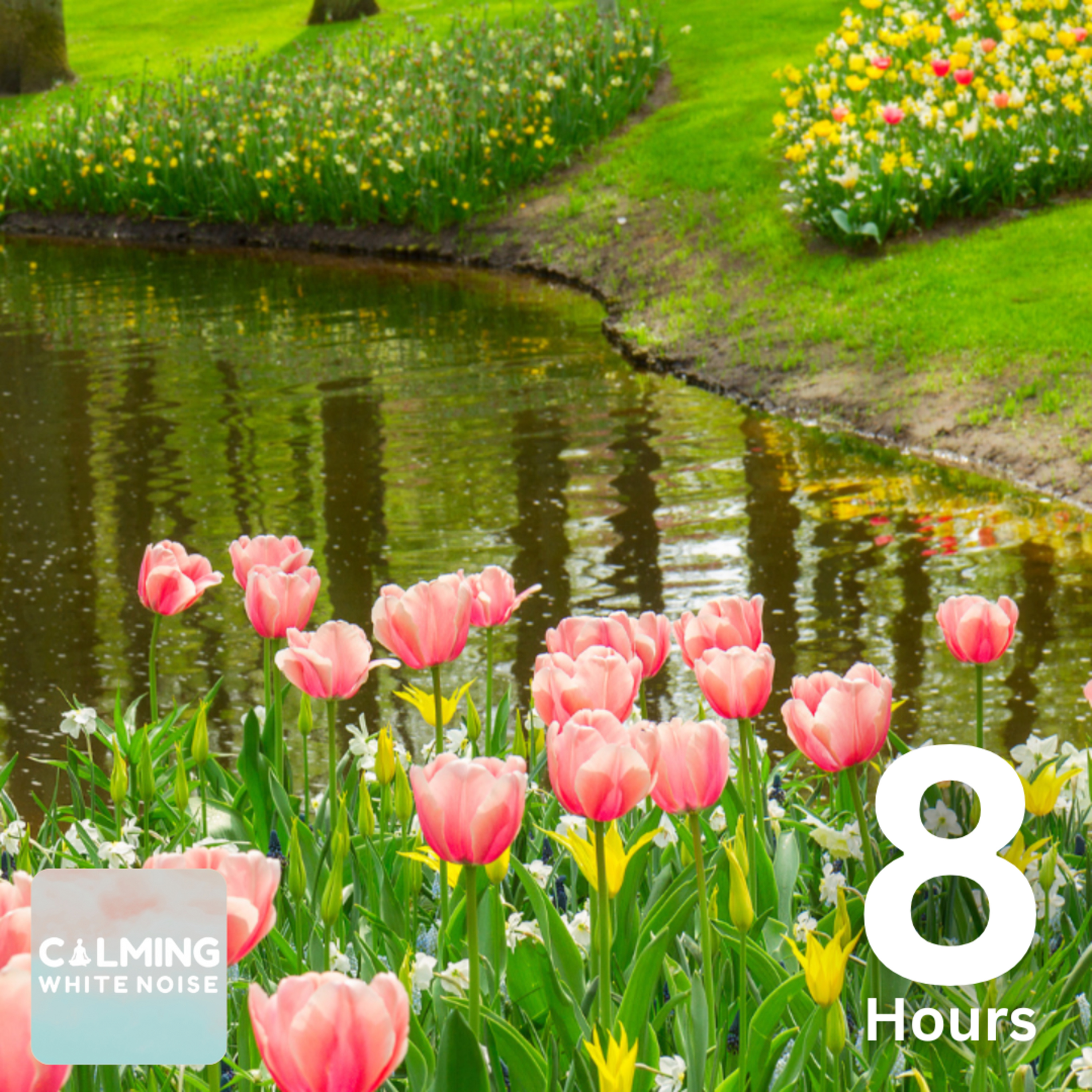 Spring Morning Ambience (8 Hours) | Birds Singing near Water Rapids for Anxiety episode artwork