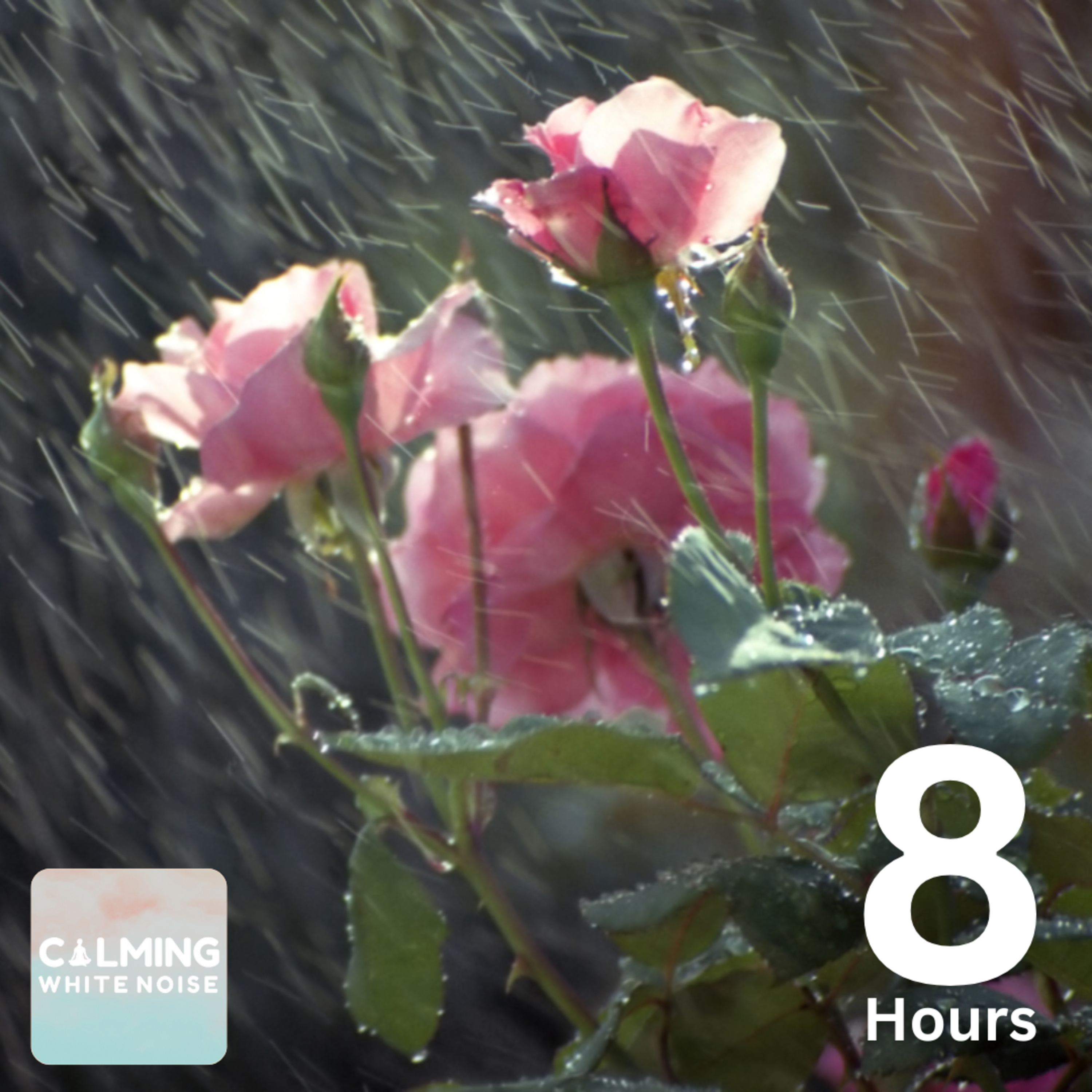Pouring Rain Sounds (8 Hours) – Sound of Rain for Sleeping, Studying, and Relaxing episode artwork