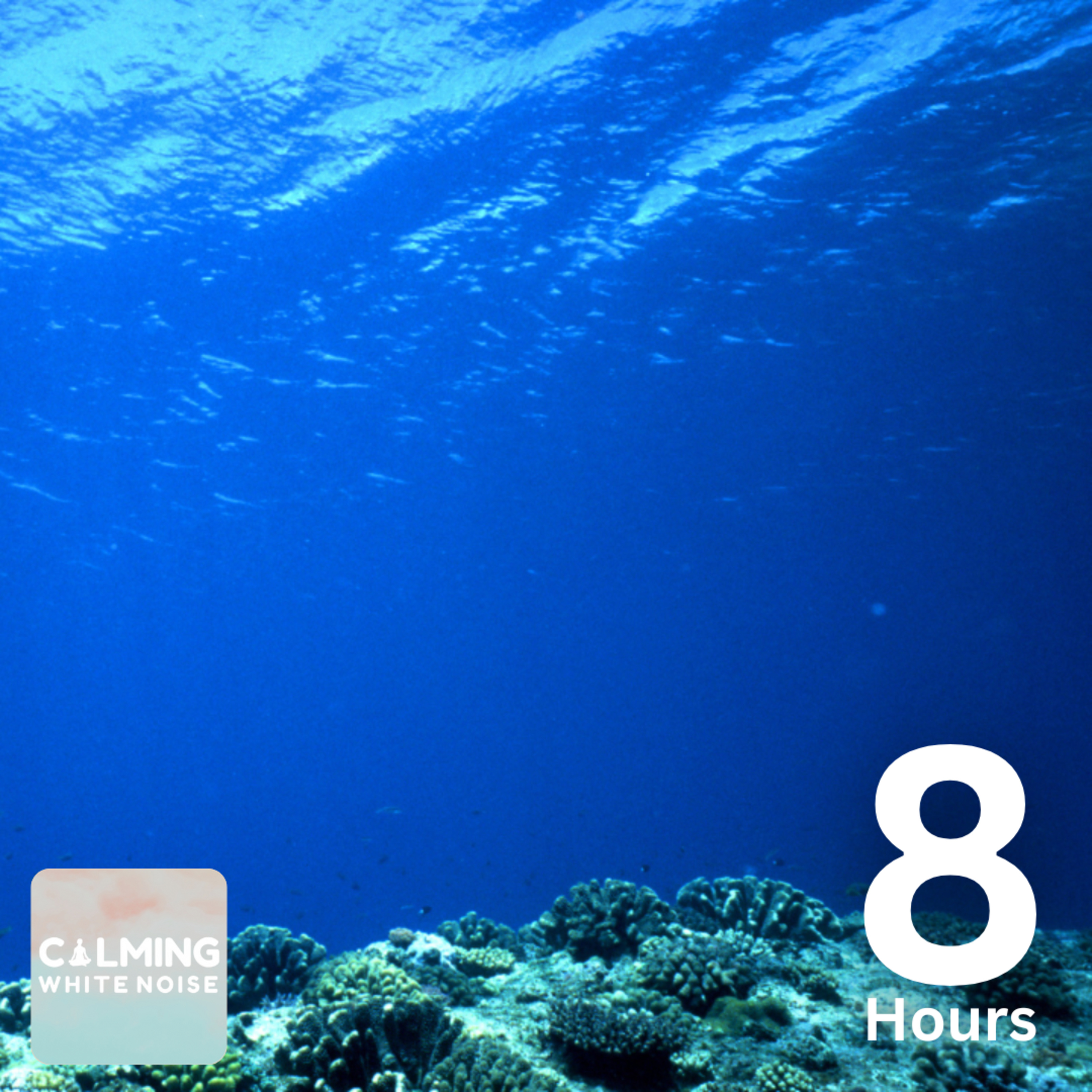 Underwater Ocean Sounds (8 Hours) | Ocean ASMR for Deep Sleep