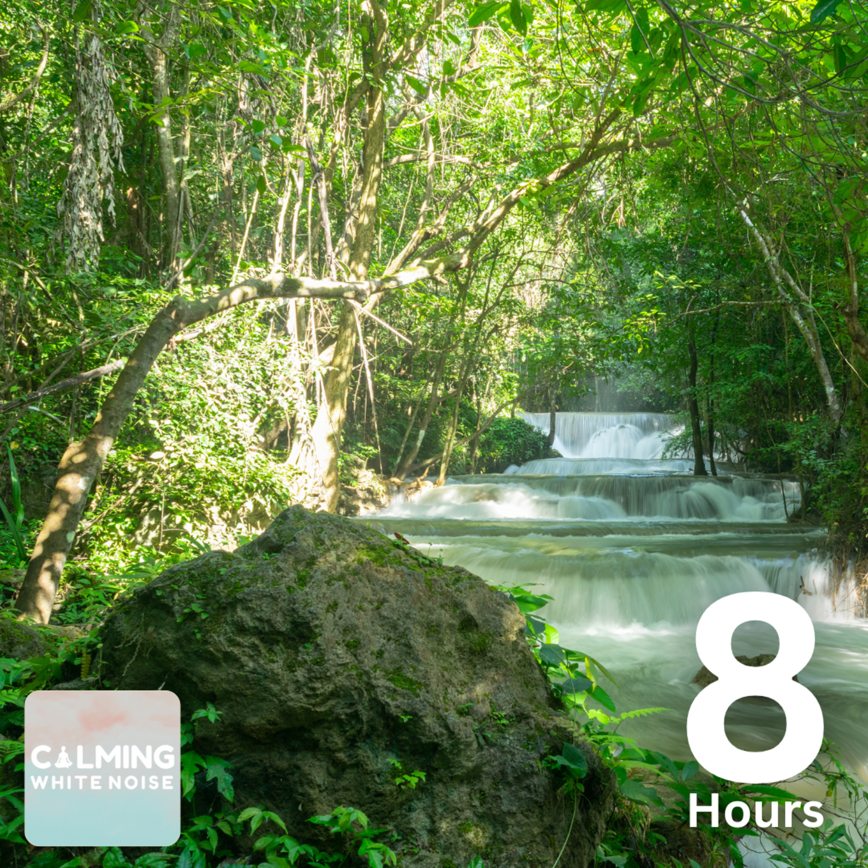 Relaxing Nature Sounds (8 Hours) | Rainforest Sounds for Meditation, Sleep, and Relaxation