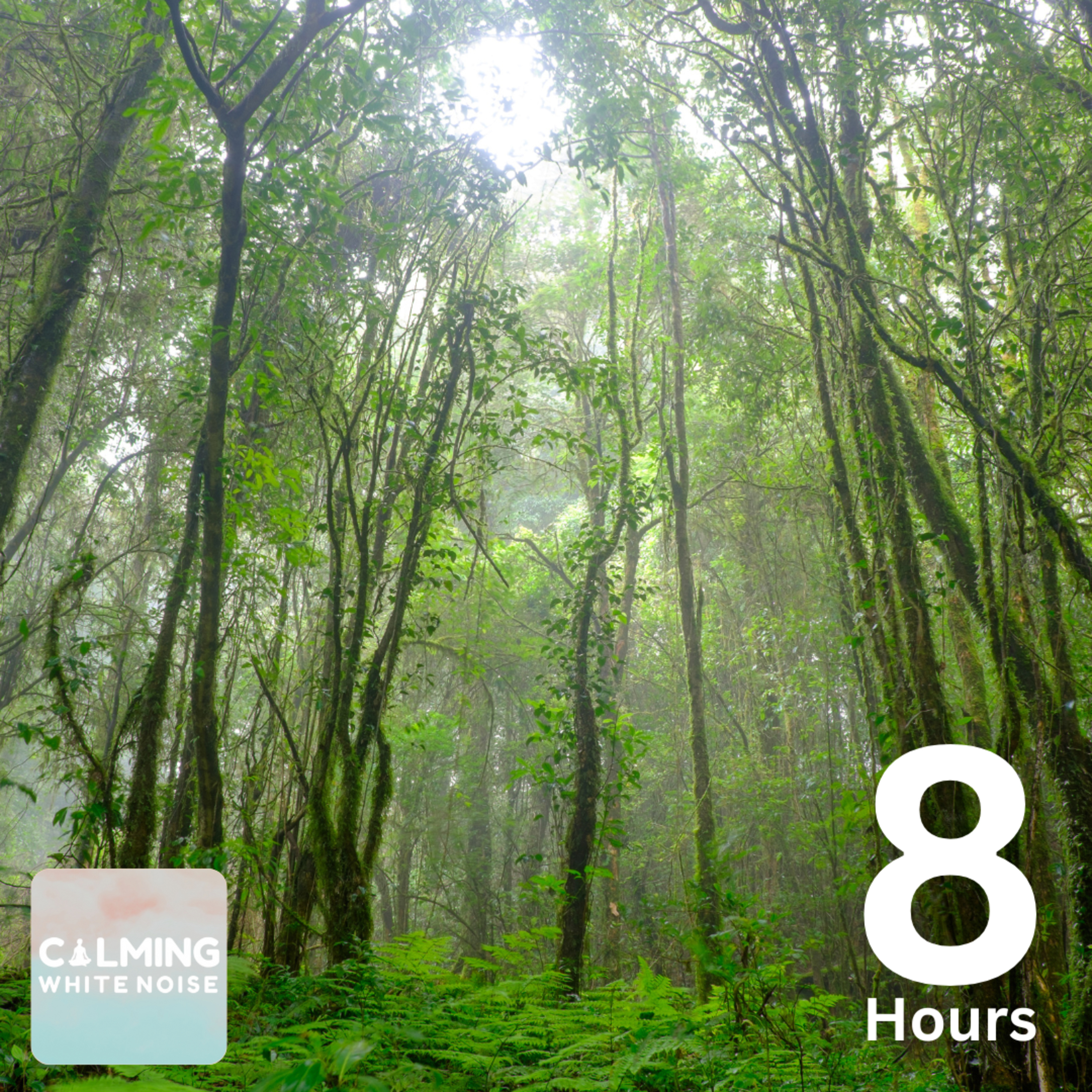 Tropical Rainfall (8 Hours) | Relaxing Background Noise for Study and Focus episode artwork