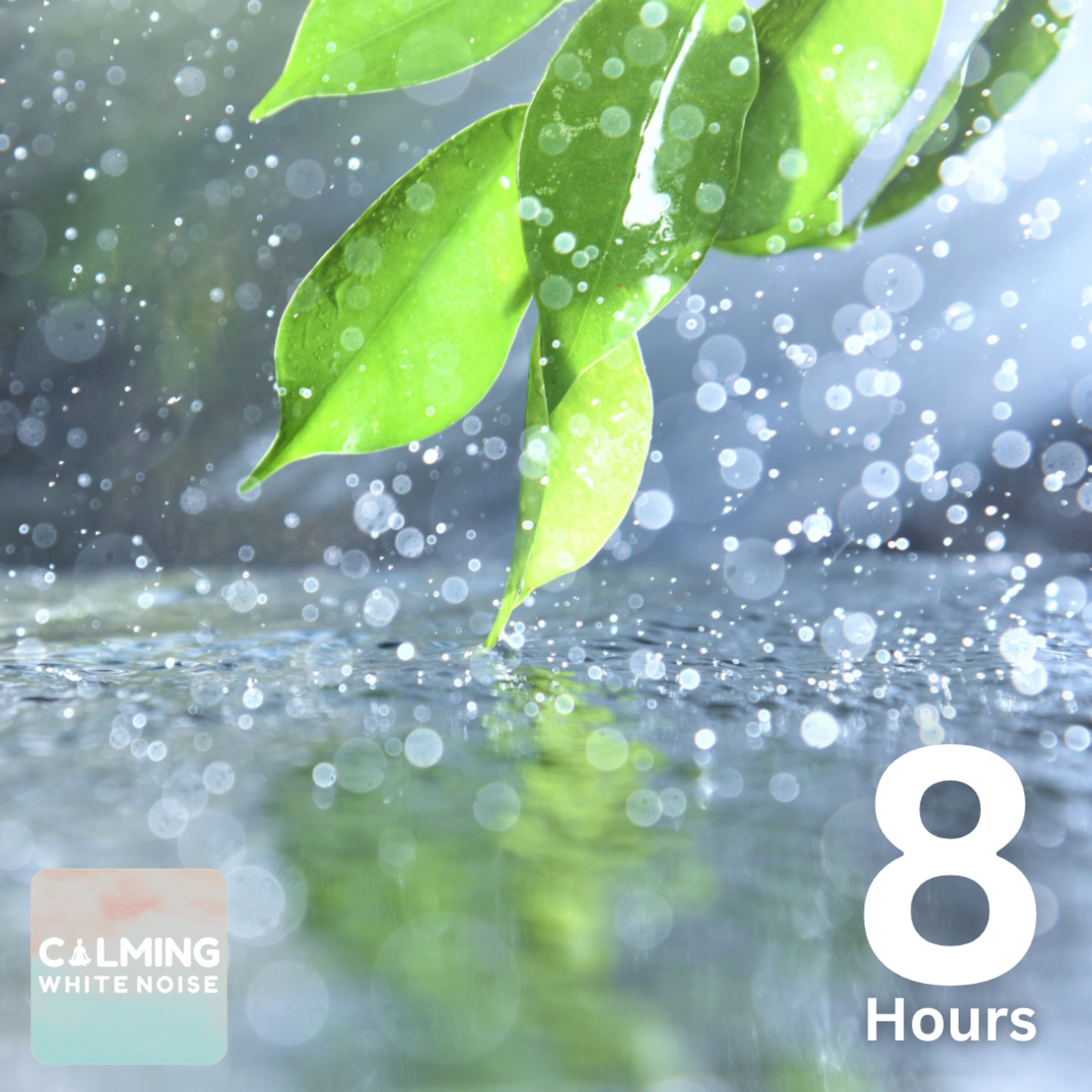 Soft Rain on Leaves (8 Hours) | Gentle Rain White Noise for Sleep and Deep Relaxation episode artwork