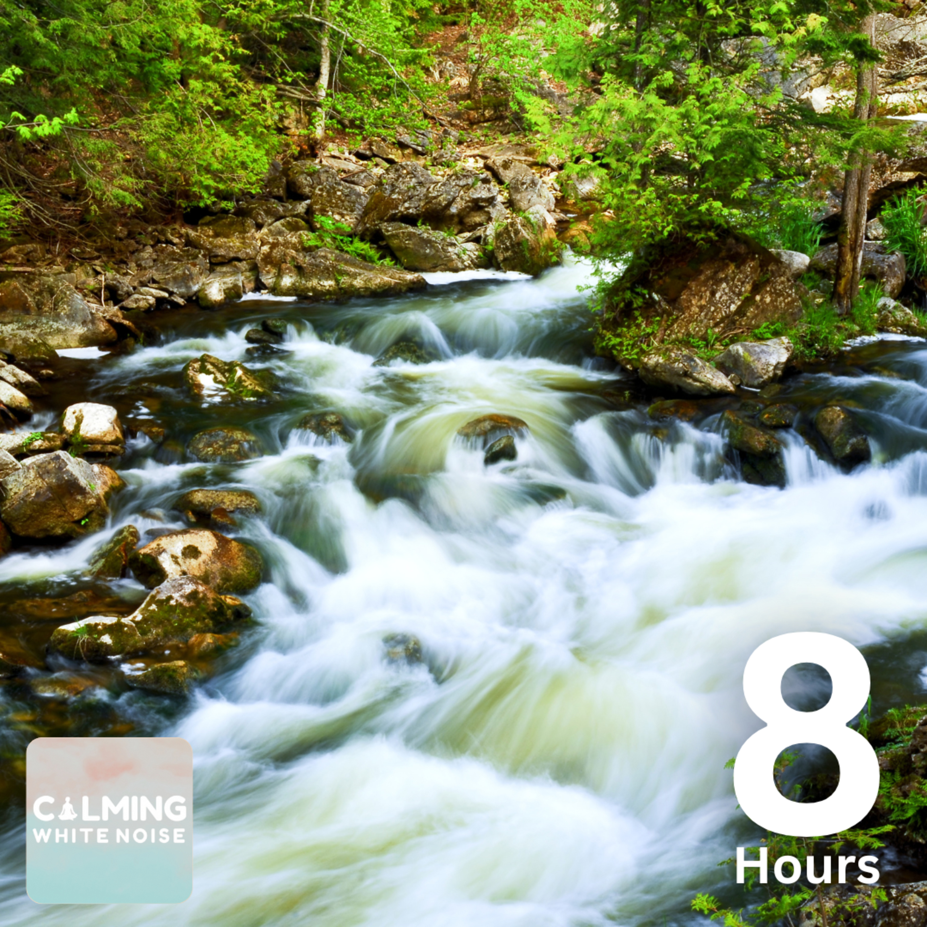 Gentle Stream Sounds (8 Hours) | Nature Sounds for Sleep, Study, and Meditation episode artwork