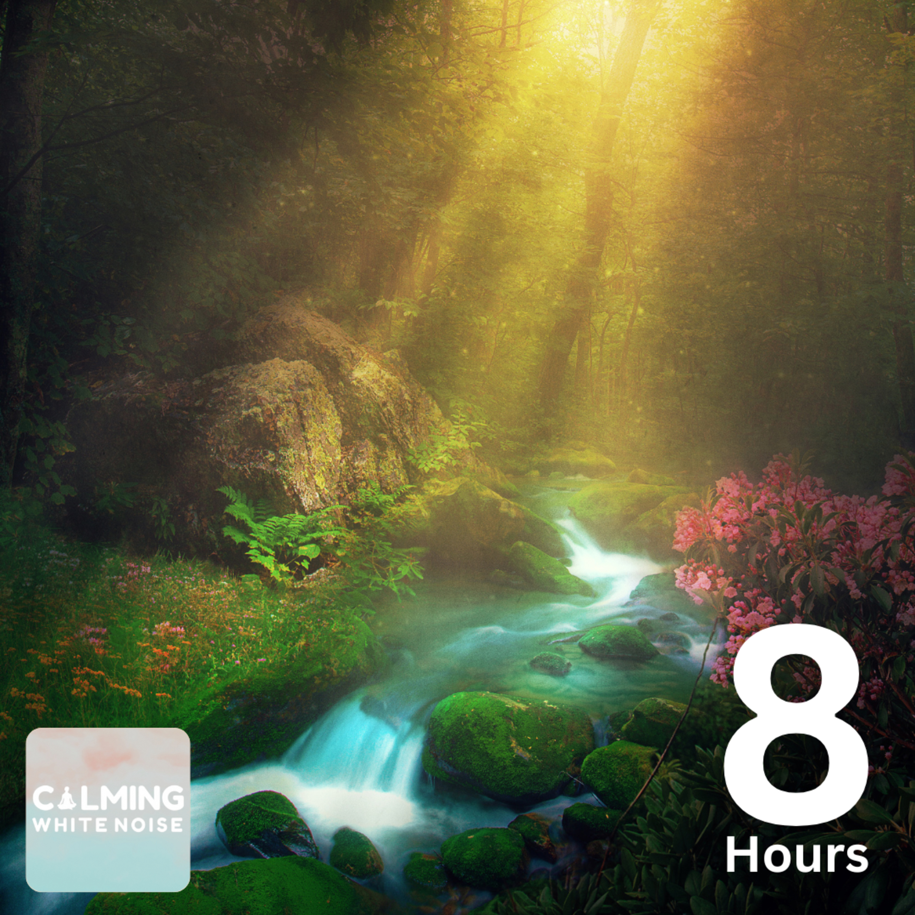 Relaxing Afternoon Ambience (8 Hours) | Gentle River with Bird Sounds for Relaxation episode artwork