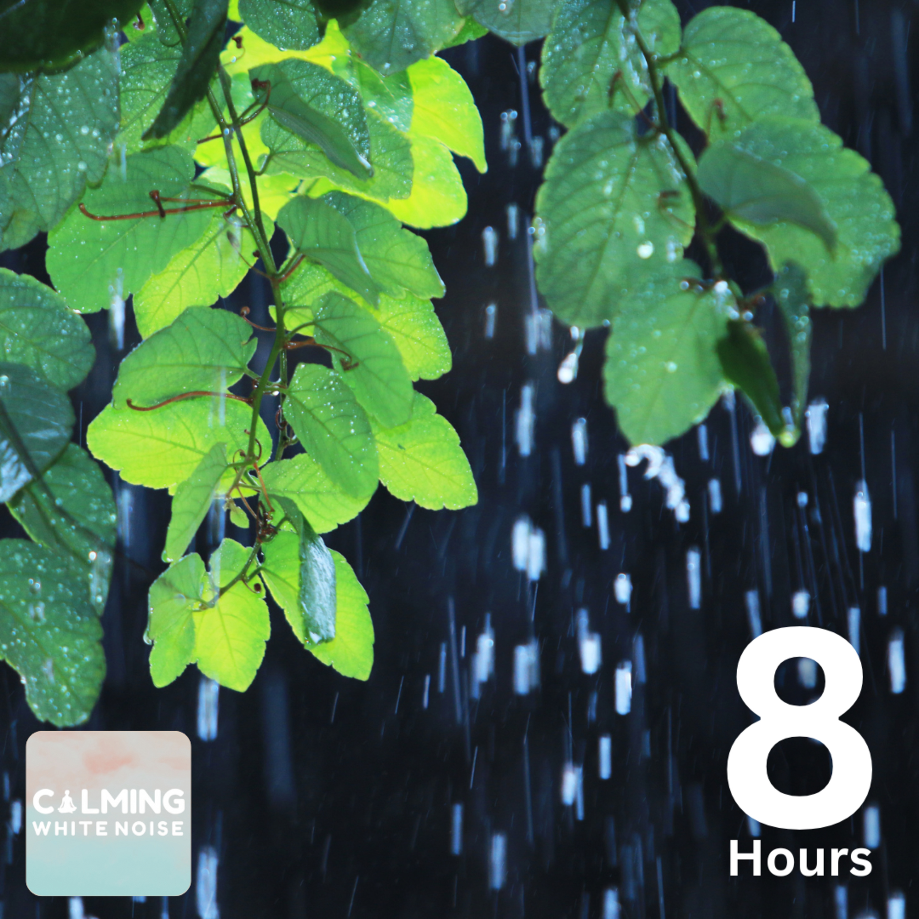 Heavy Rainstorm Sounds (8 Hours) | Rain Sounds for Sleep and Relaxation