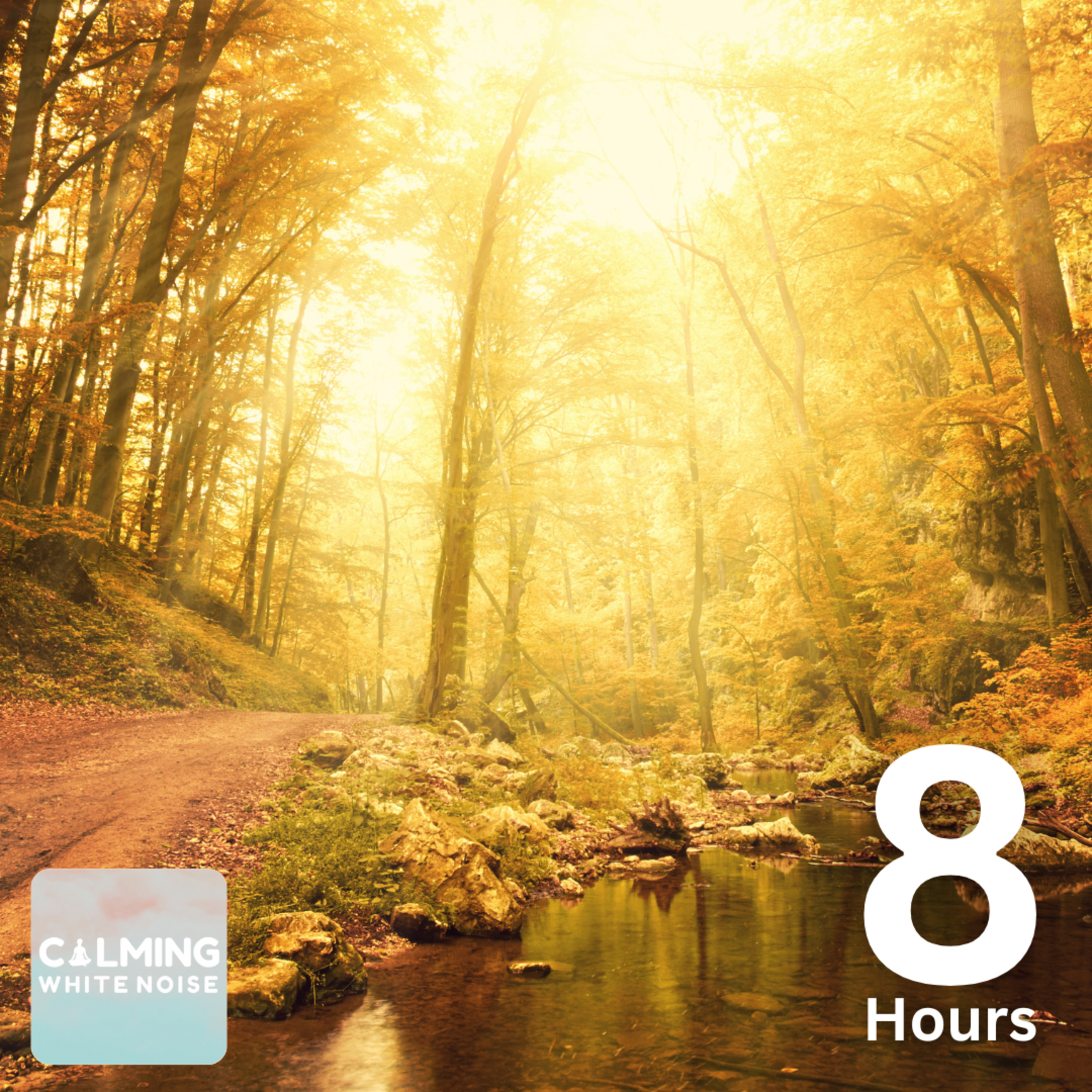 Forest Creek Sounds (8 Hours) | Nature Sounds to Relax, Sleep, and Focus episode artwork