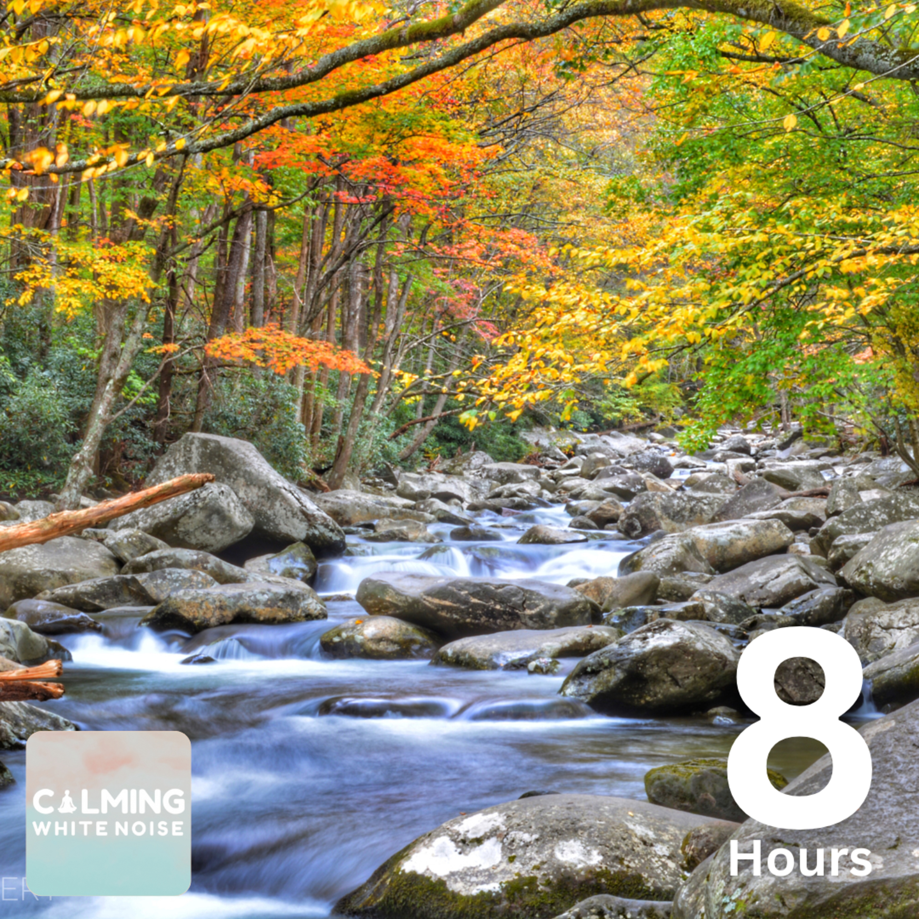 Rejuvenating Mountain Stream ( 8 Hours) | Water Sounds for Focus, Study, and Relaxation episode artwork