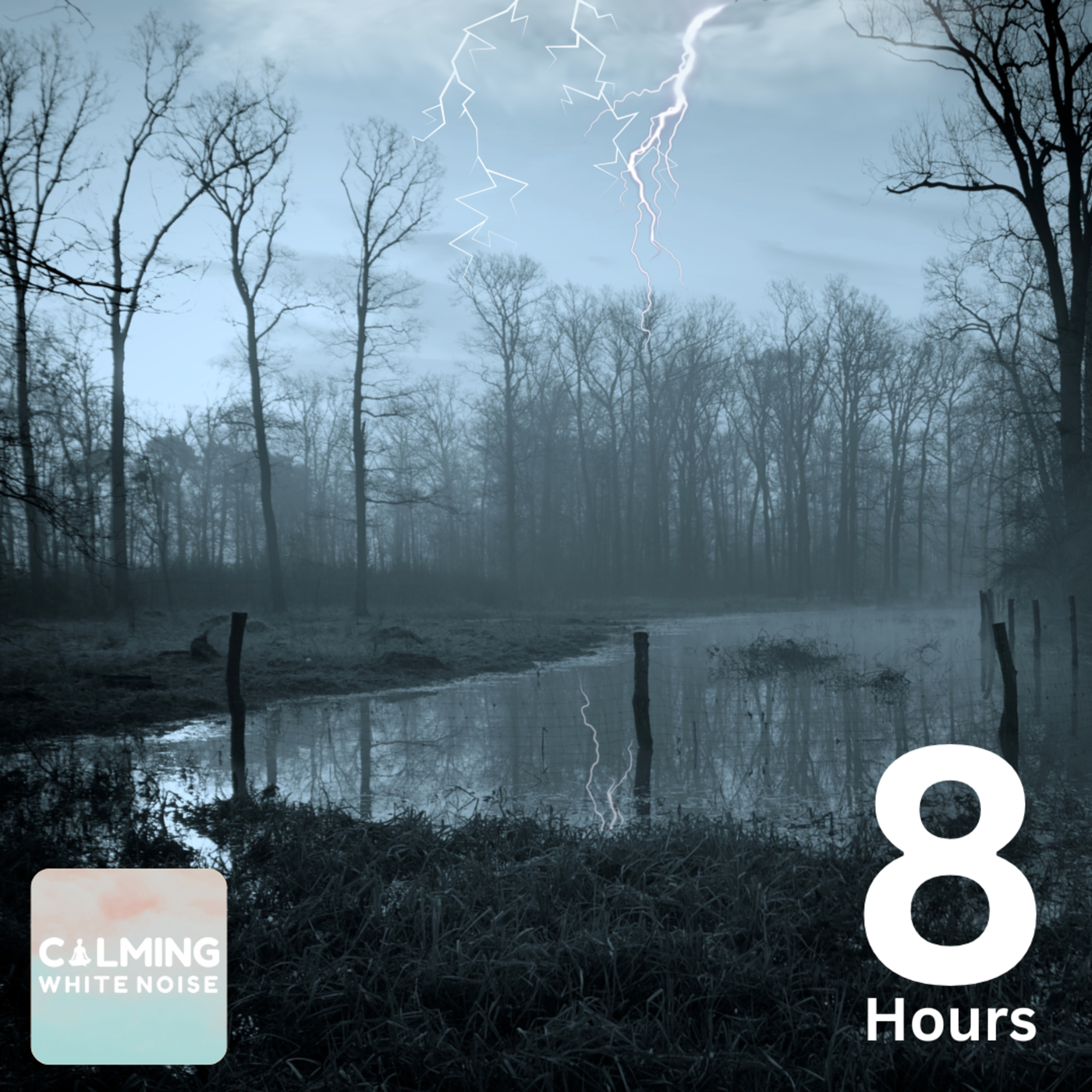 Stormy Swamp Ambience (8 Hours) | Rain & Thunder Sounds for Relaxation episode artwork