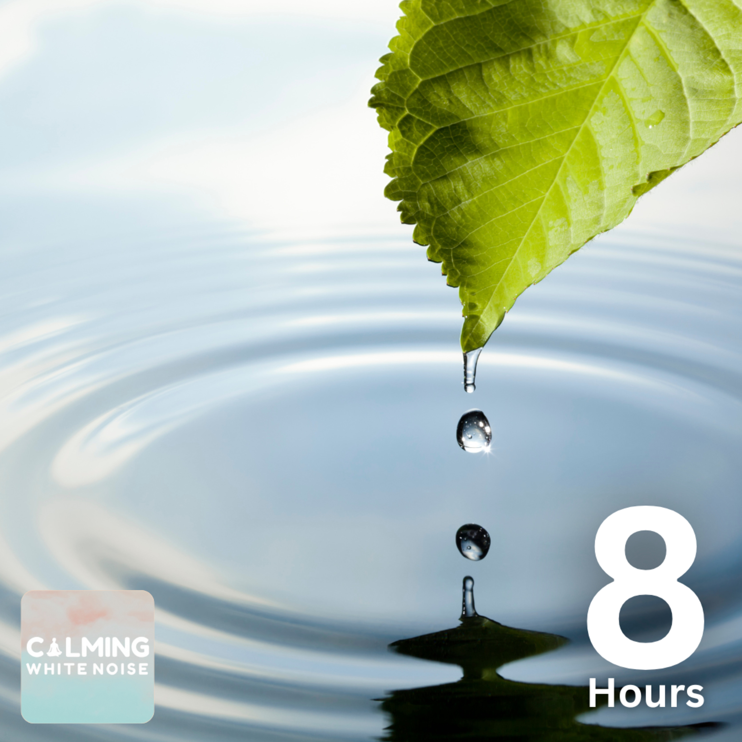Rain on Leaf (8 Hours) | Lite Rain Sounds for Sleep and Relaxation episode artwork