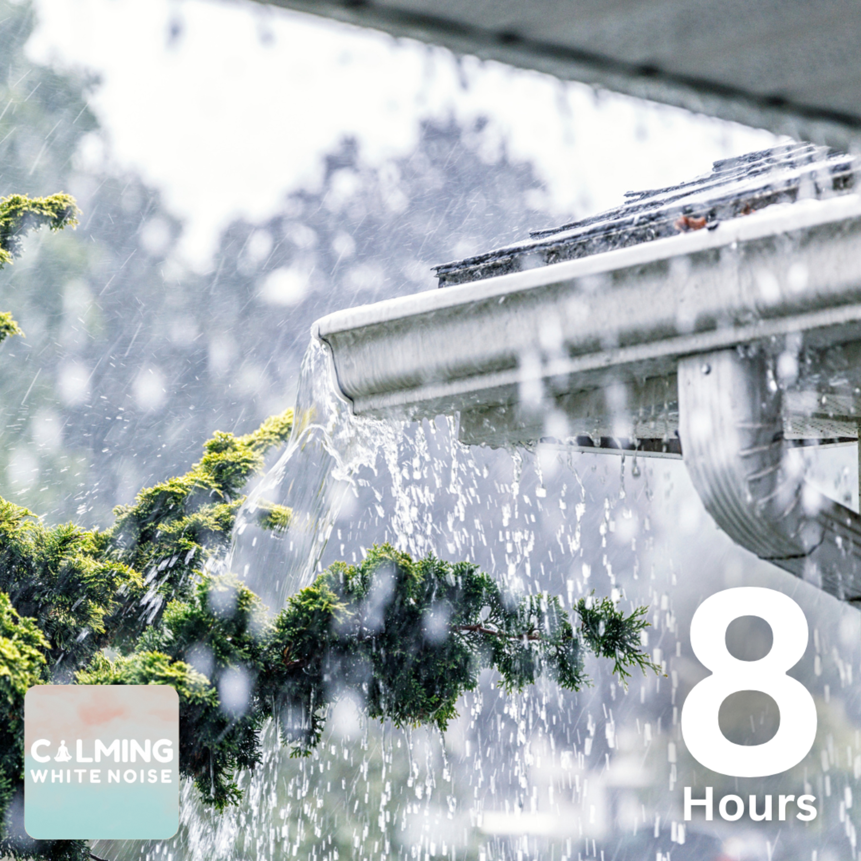 Rain and Thunder on Roof Sound (8 Hours) | Rain Sounds for Sleeping episode artwork