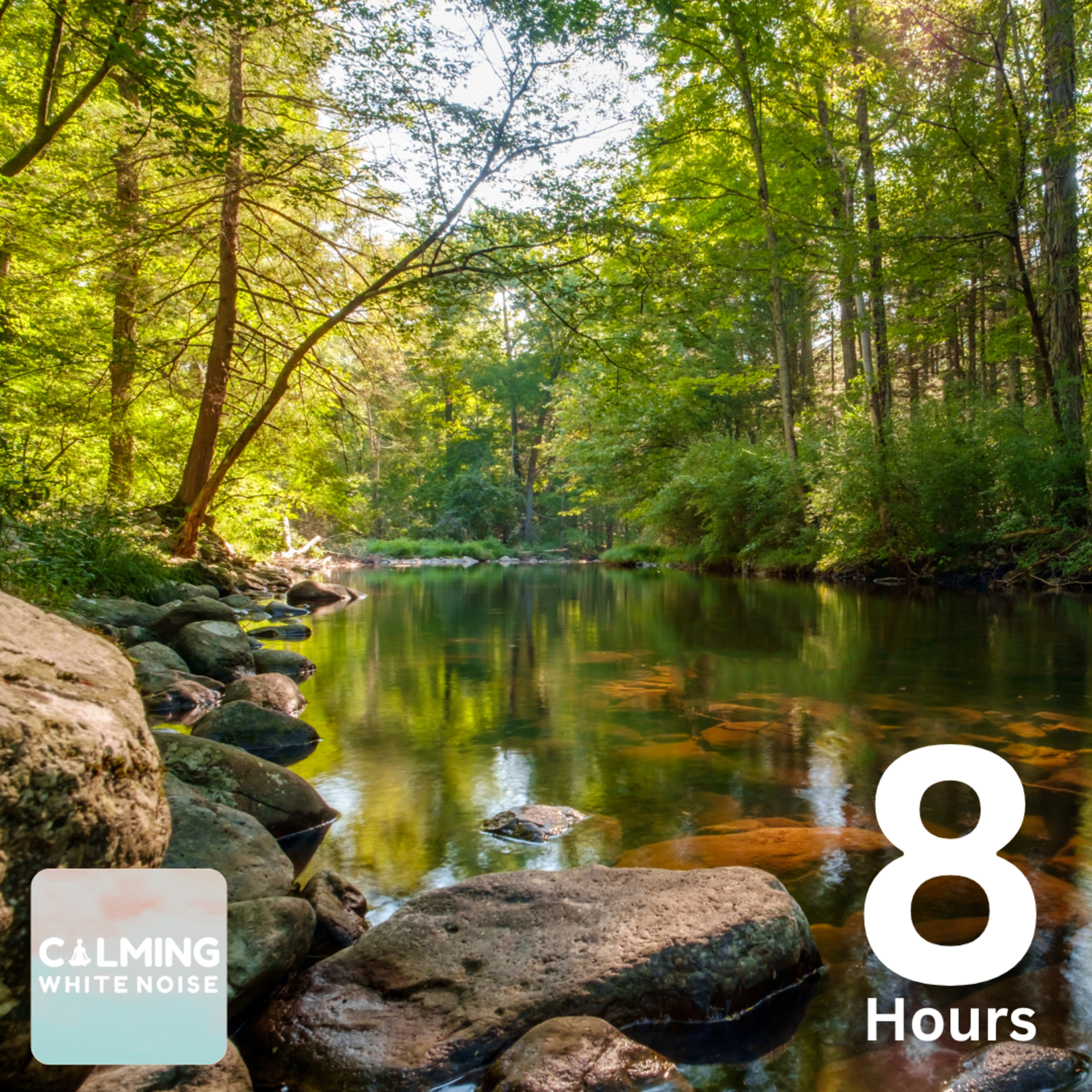 Calming Stream Sounds (8 Hours) | Relaxing Nature Sounds to Help Focus episode artwork
