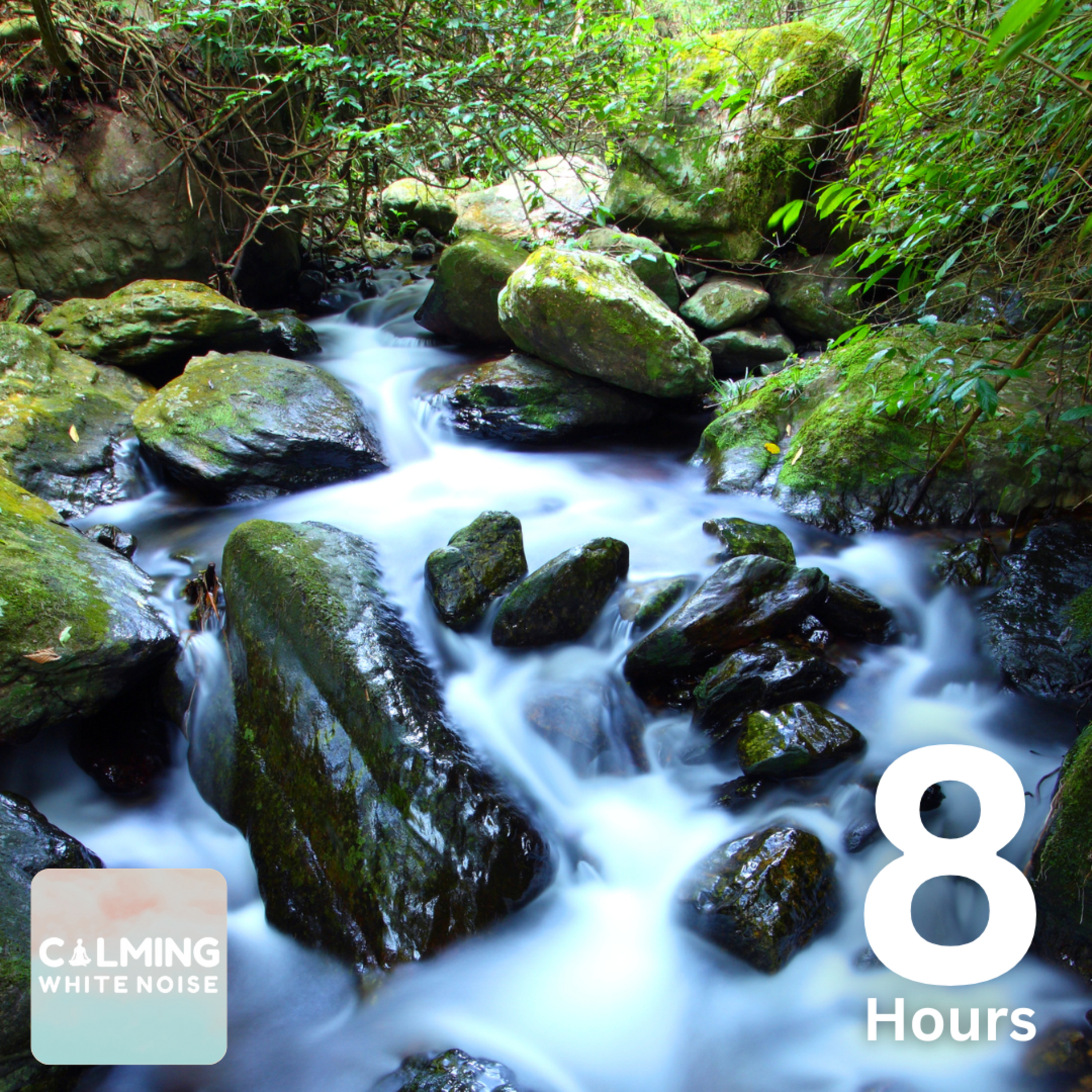 Forest Stream Sounds (8 Hours) | Sleep Instantly with Water Sounds episode artwork