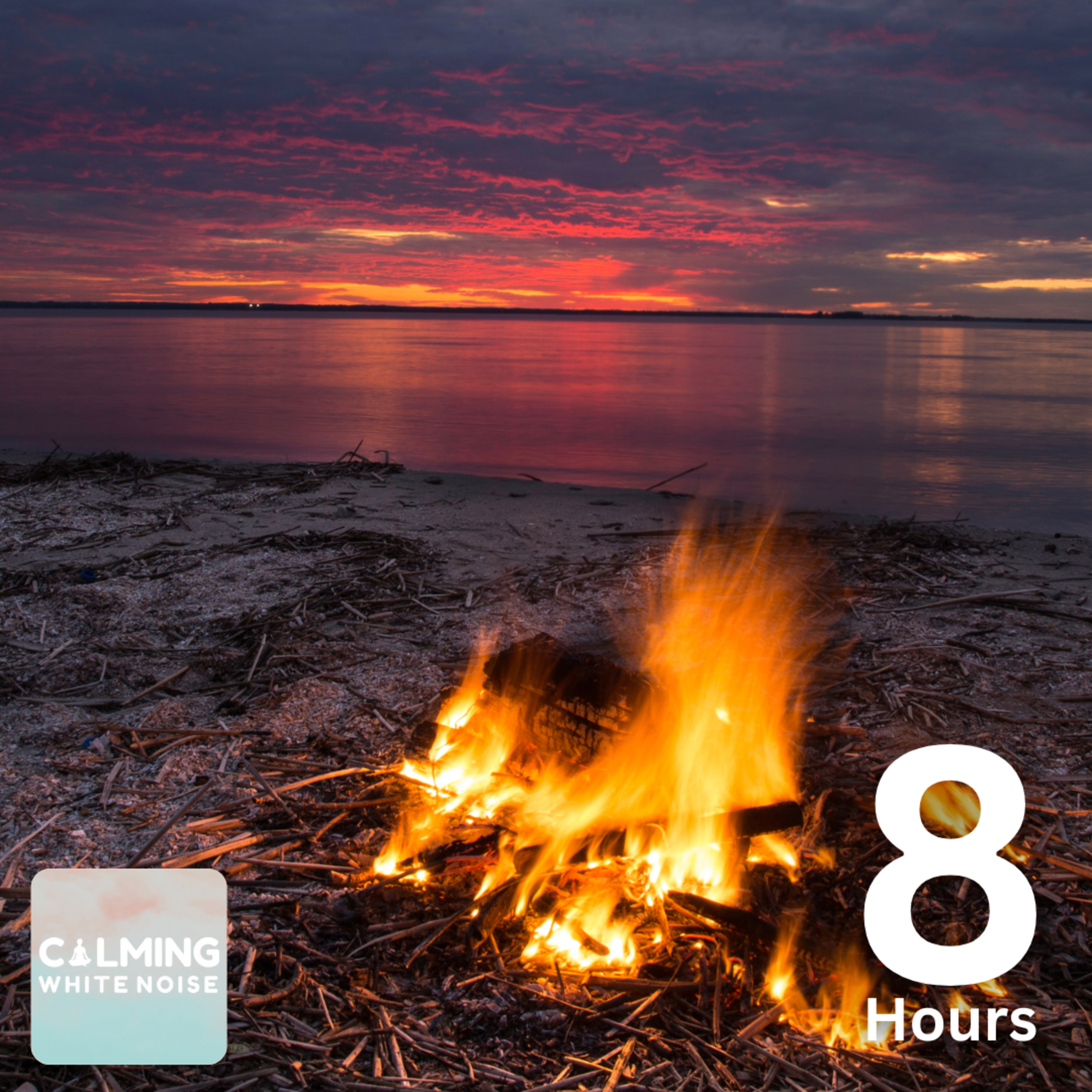 Beach Bonfire with Cricket Sounds (8 Hours) | White Noise for Sleep and Relaxation  episode artwork