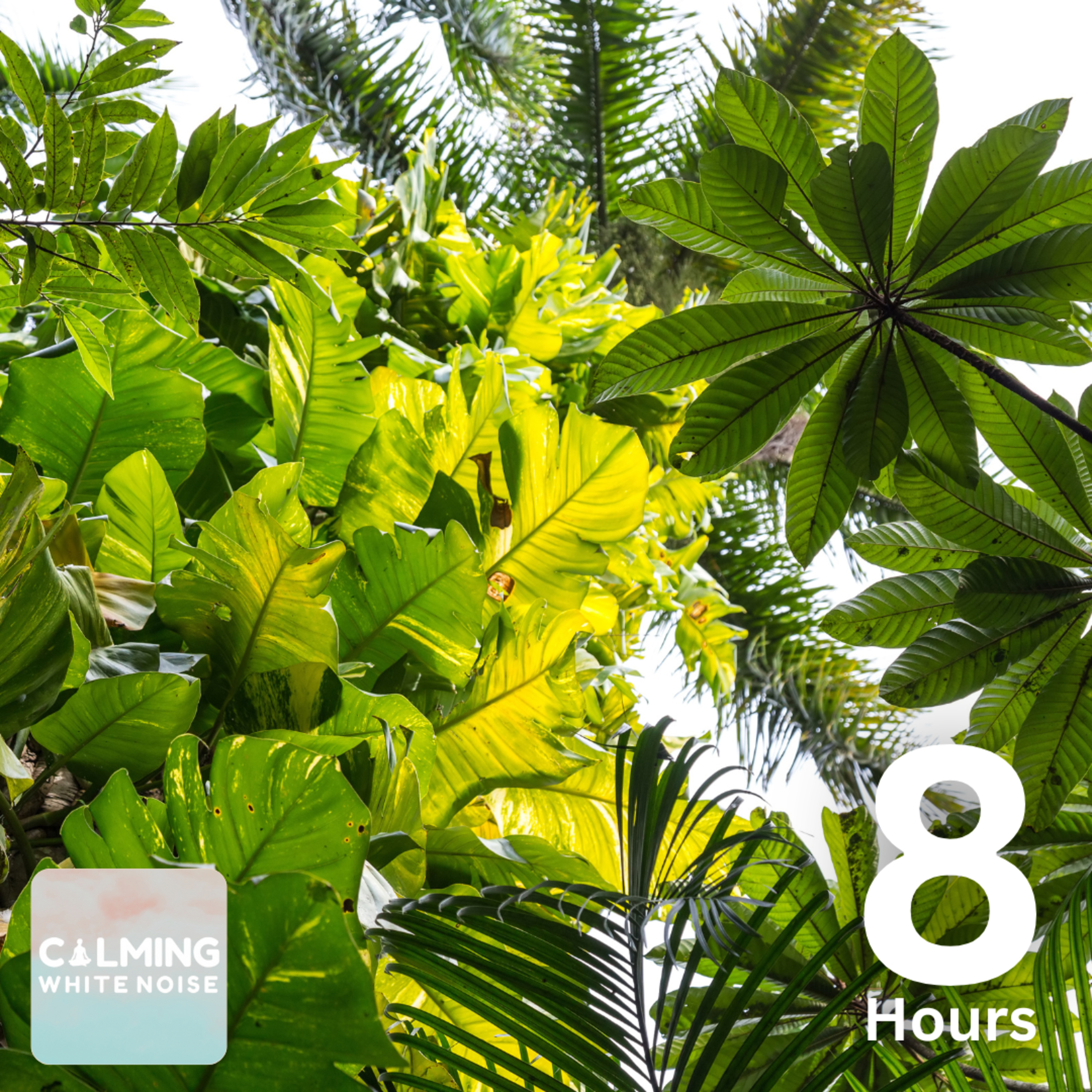 Sounds of Nature (8 Hours) | Crashing Waves with Tropical Bird Sounds episode artwork