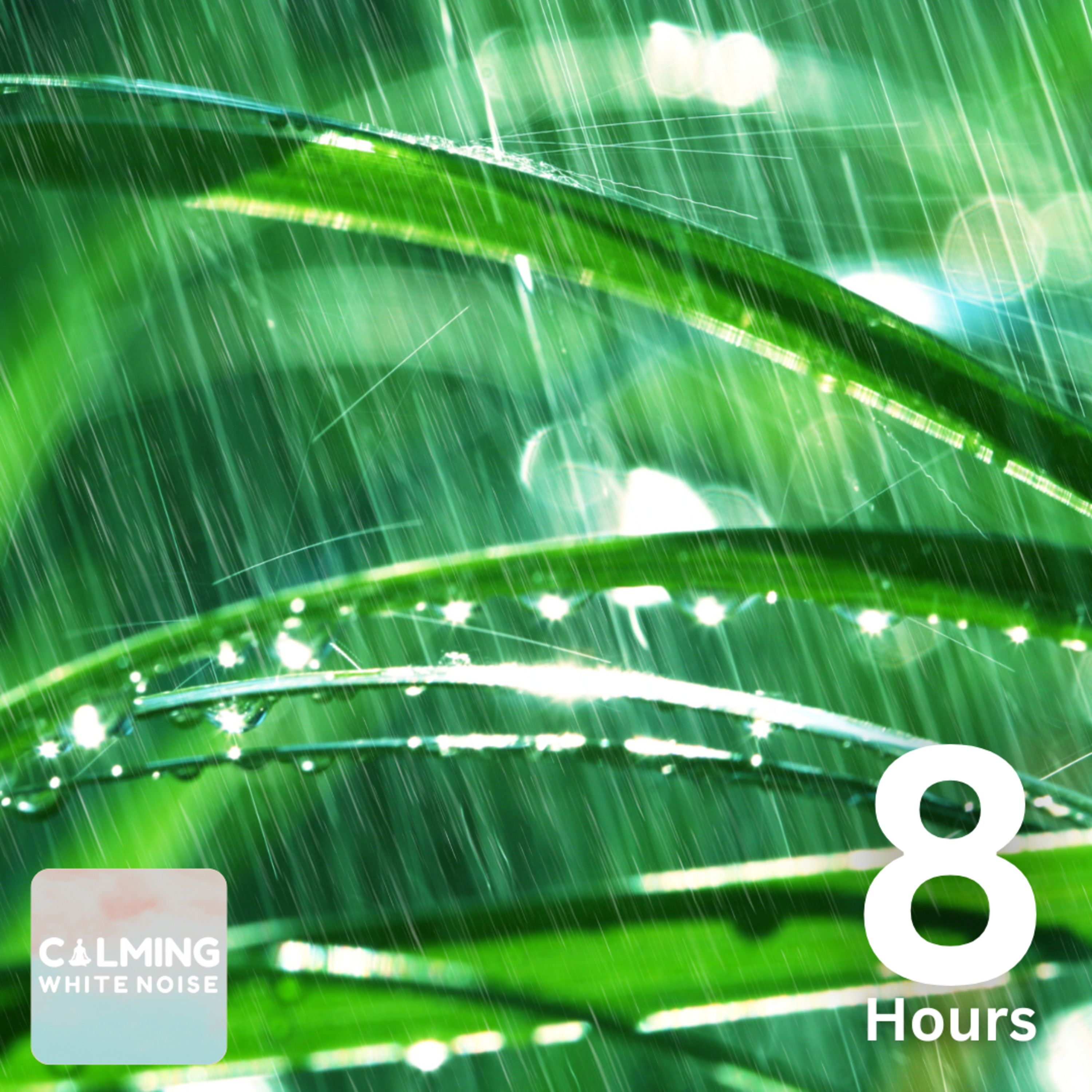 Rain Sounds (8 Hours) | Gentle Rain Sounds for Sleeping and Studying