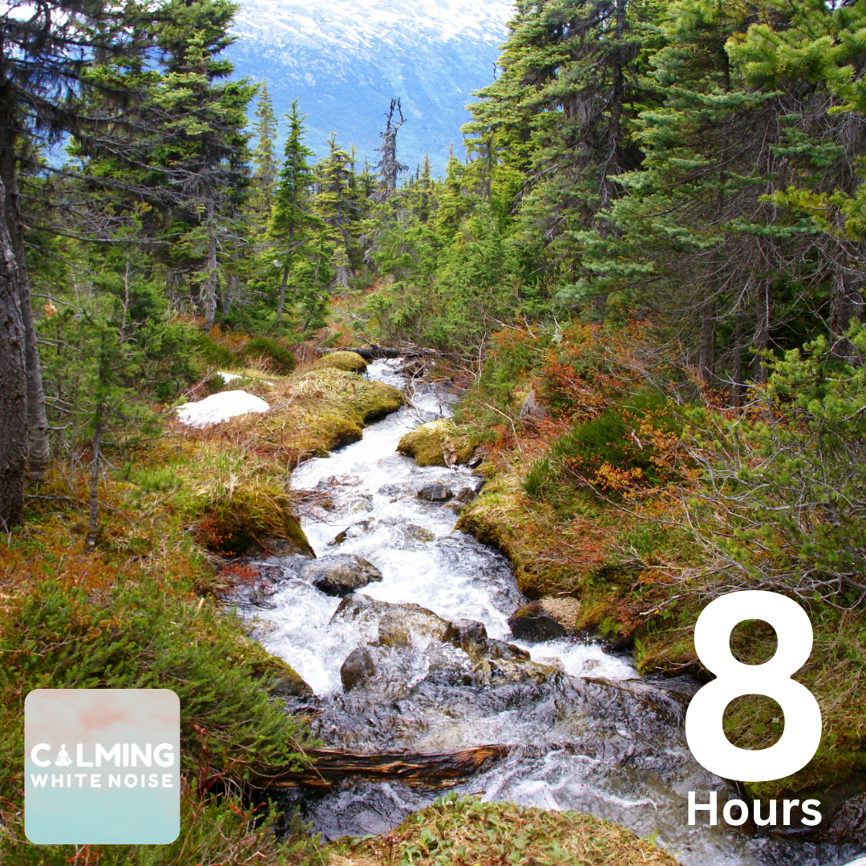 Calming Creek Sounds (8 Hours) | Nature Sounds to Relax, Sleep, and Focus episode artwork