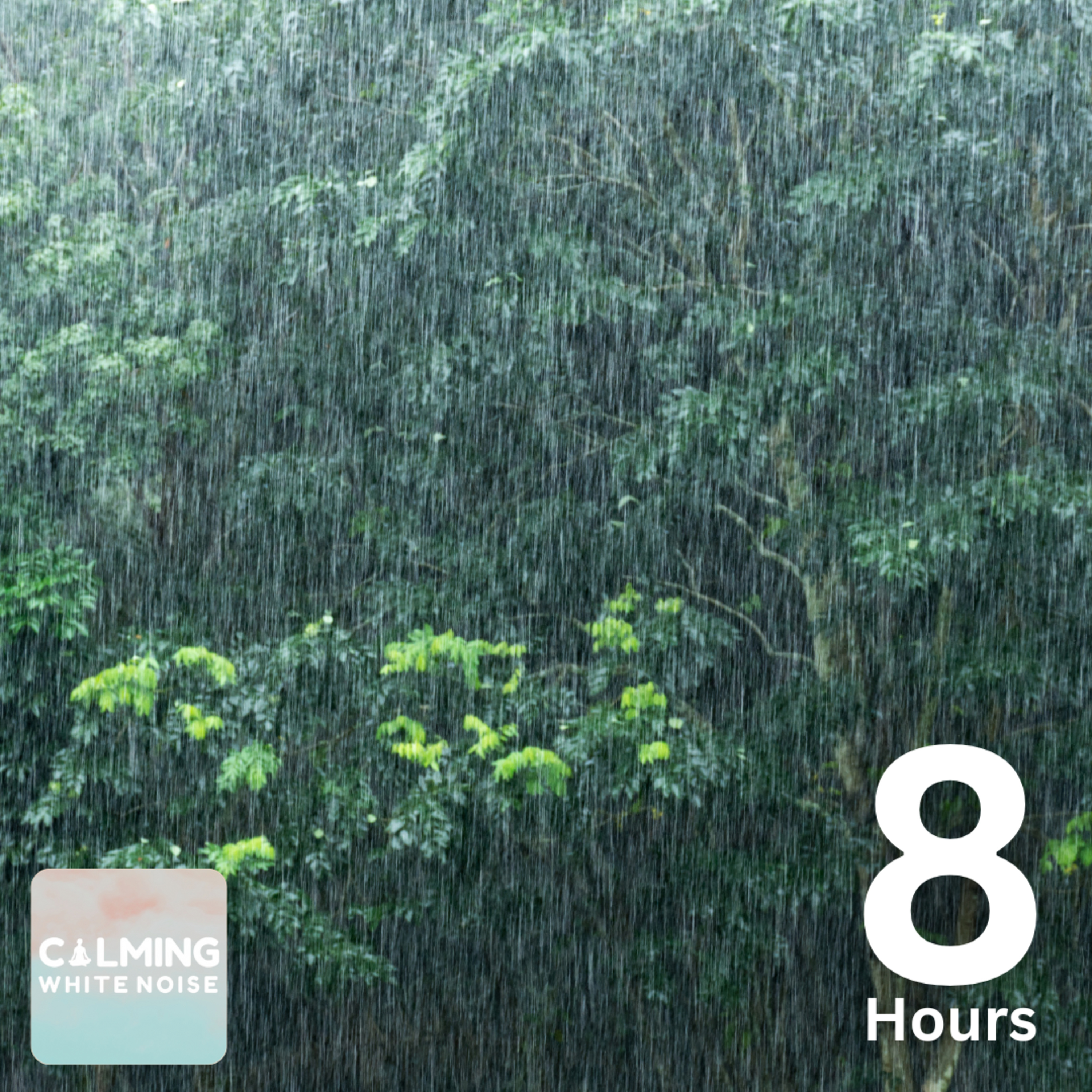 Rain Sounds for Sleeping (8 Hours) | Relaxing Sounds for Deep Sleep episode artwork