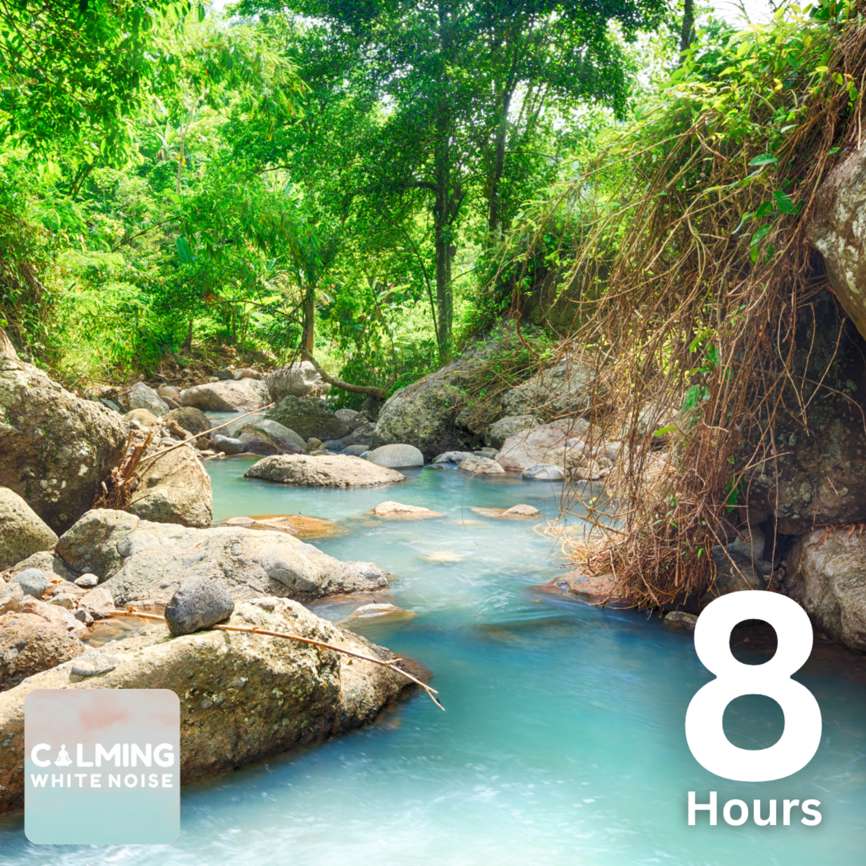 Peaceful Stream Sounds (8 Hours) | Study or Relax to Nature’s Lullaby