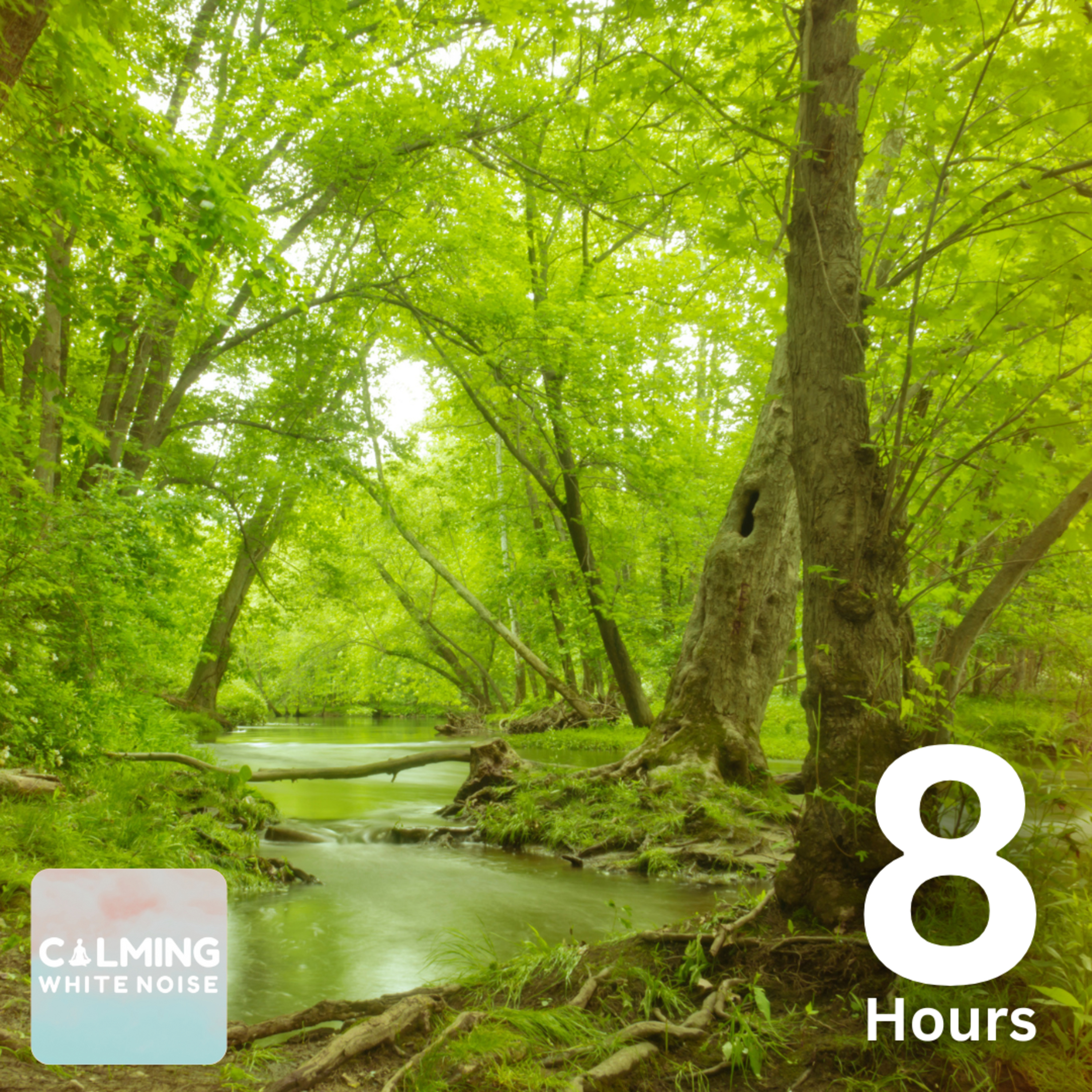 Swamp Ambience (8 Hours) | Relaxing Cricket & Frog Sounds for Sleep or Stress Relief episode artwork