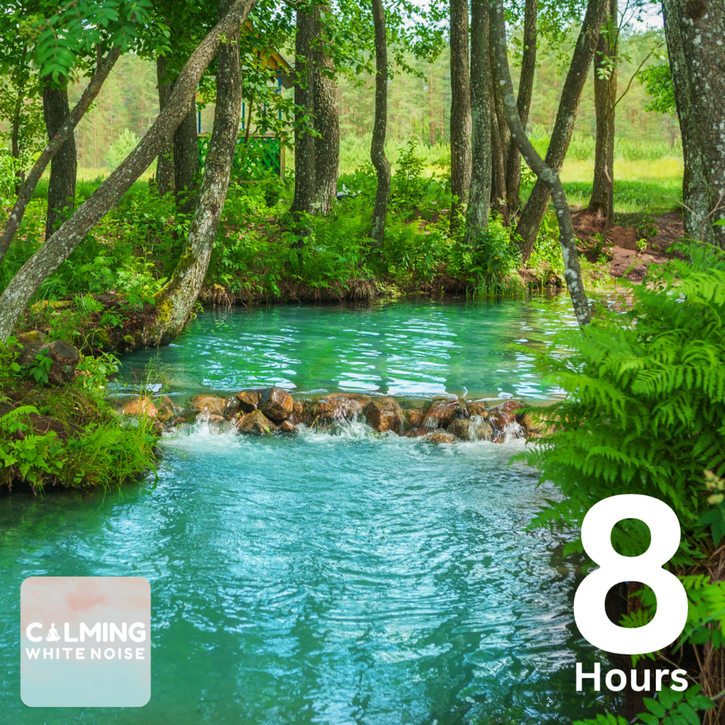 Forest River Sounds (8 Hours) | Relaxing Nature Sounds for Focus & Concentration episode artwork