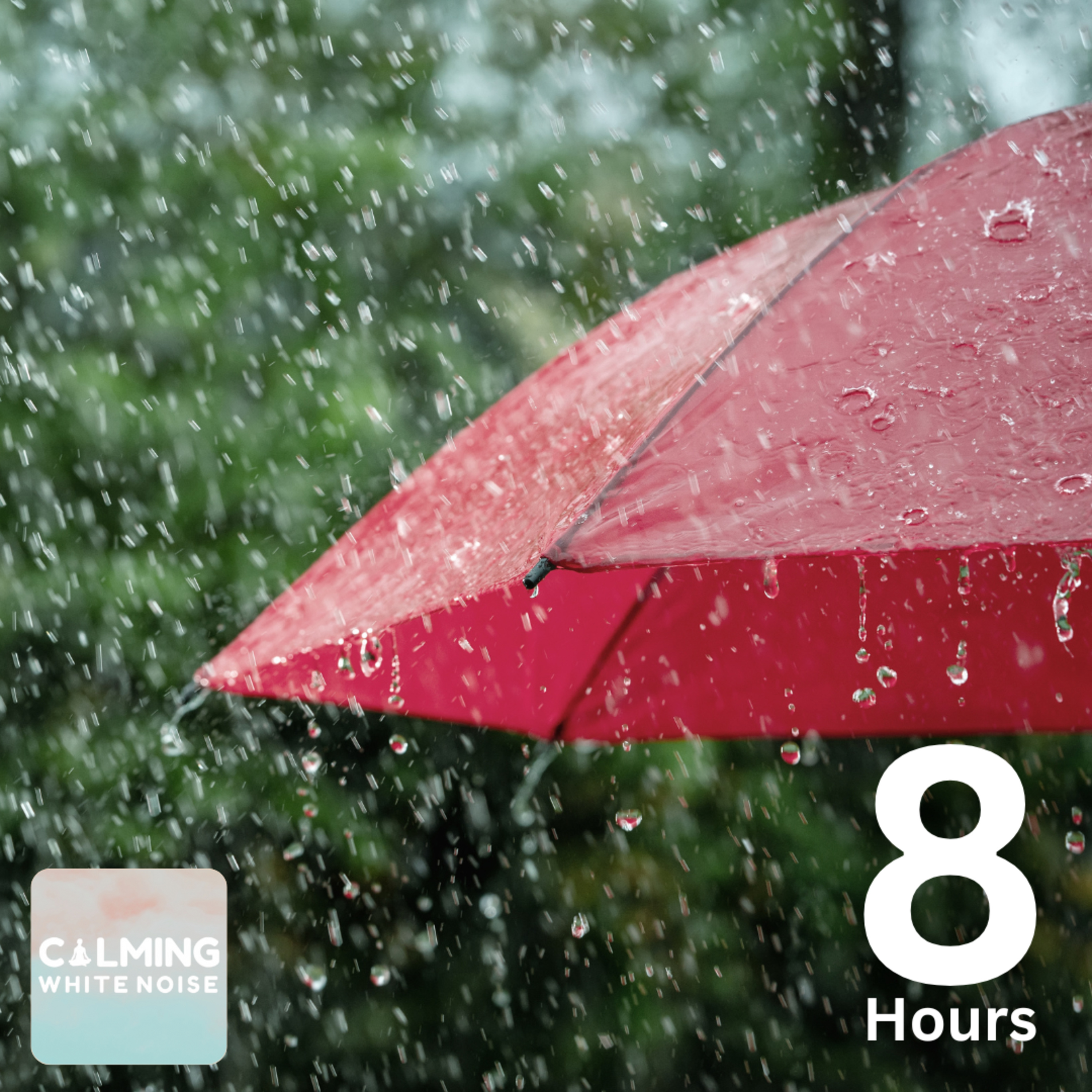 Gentle Rain ASMR for Sleeping (8 Hours) | Soothing Rainfall for Deep Relaxation episode artwork