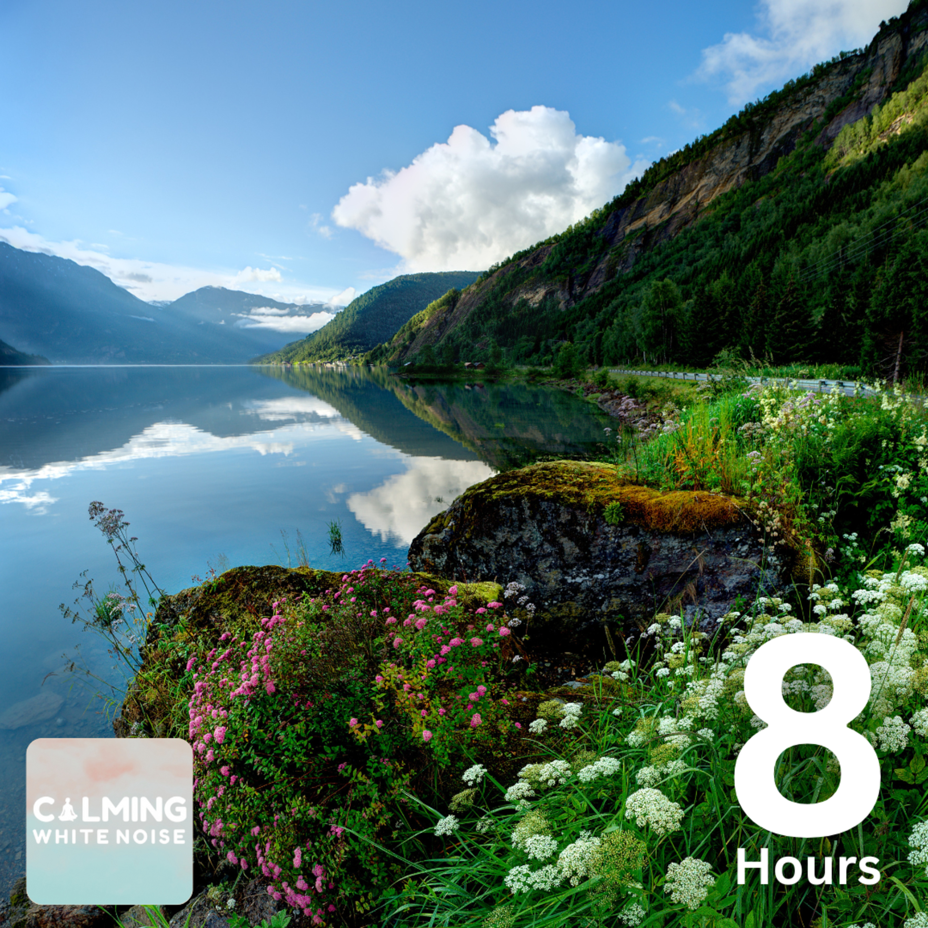 Nature’s Serenity (8 Hours) | Relaxing Stream with Bird Sounds for Meditation
