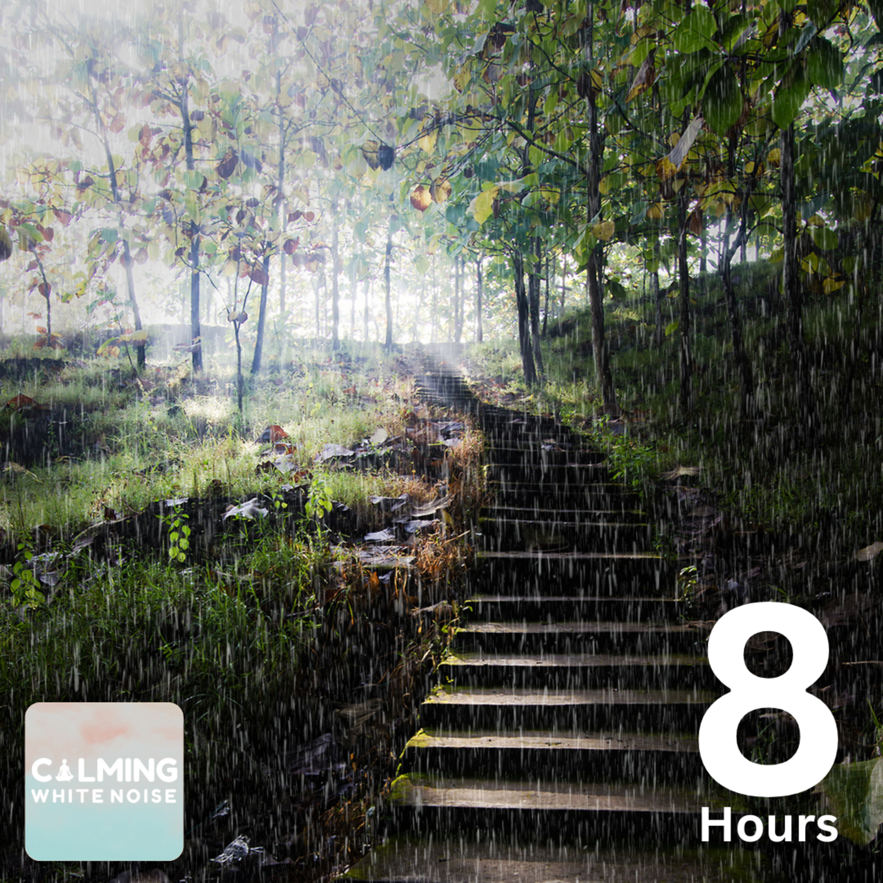 Relaxing Rain Sounds on Park Steps (8 Hours) | Rain Sounds for Sleeping, Studying, or Stress Relief episode artwork