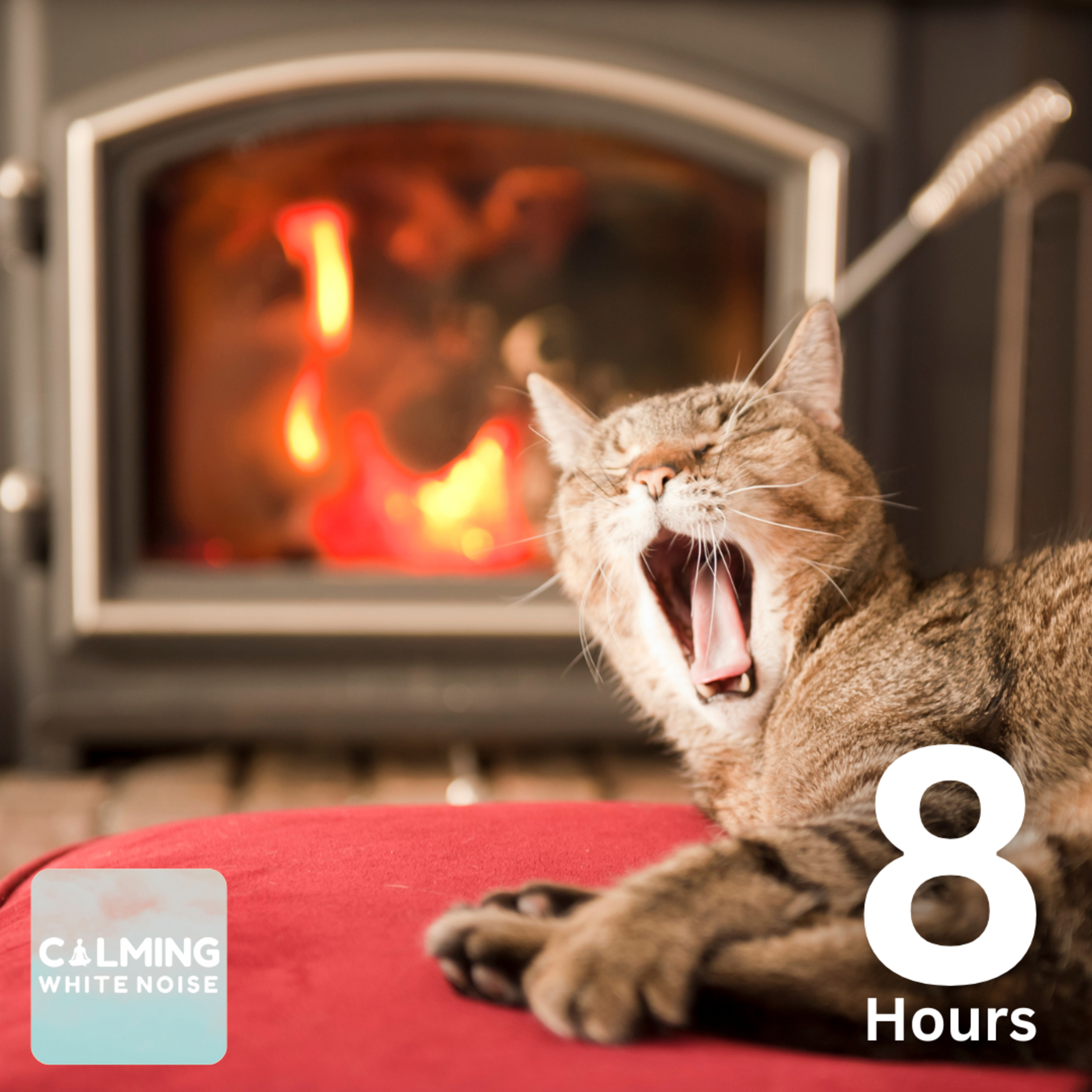 Purring Cat and Crackling Fireplace 🔥 (8 Hours) | Cozy Winter Ambience with Purring Cat Sounds episode artwork