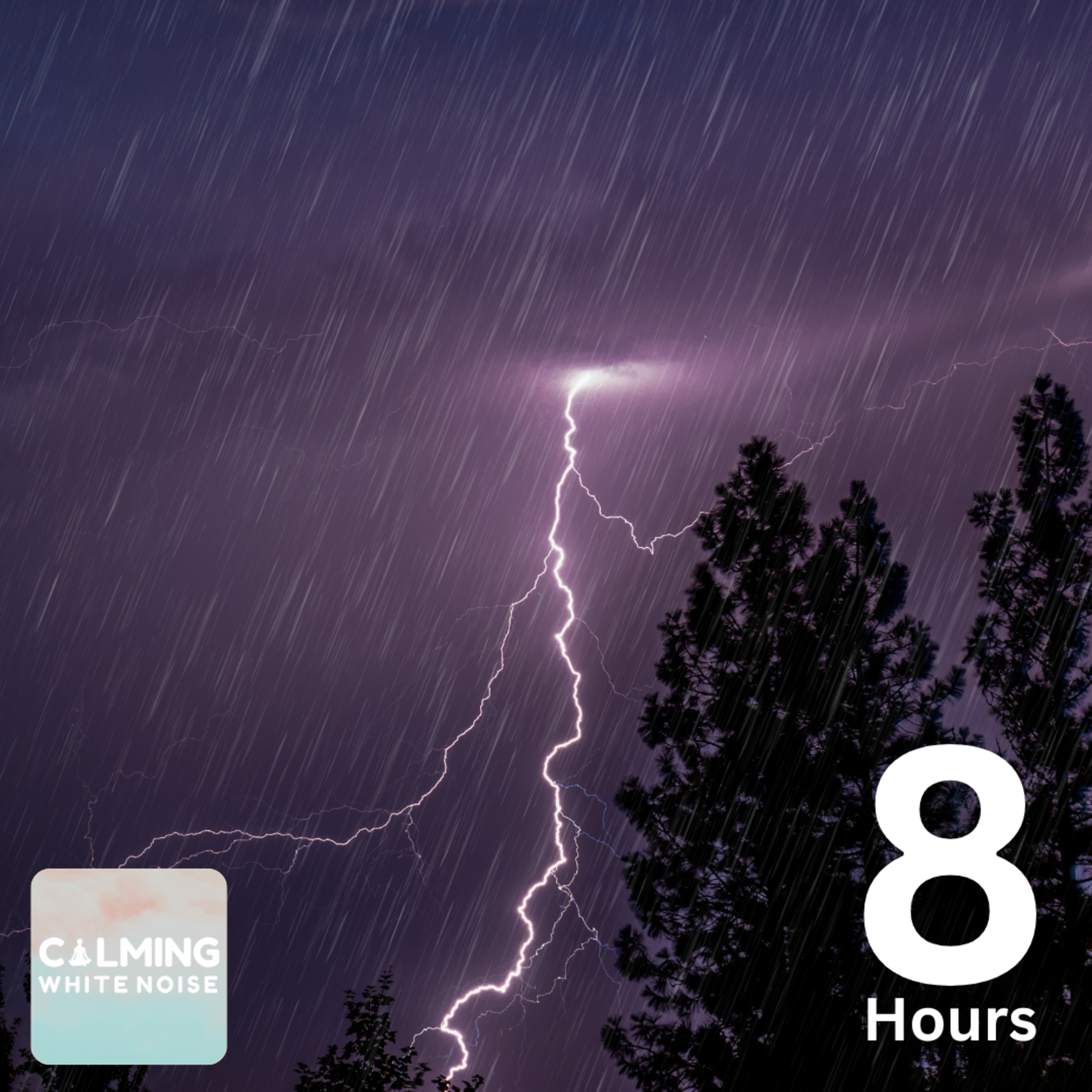Forest Rain & Thunderstorm Sounds (8 Hours) | Natural Sleep Sounds & White Noise for Sleeping episode artwork