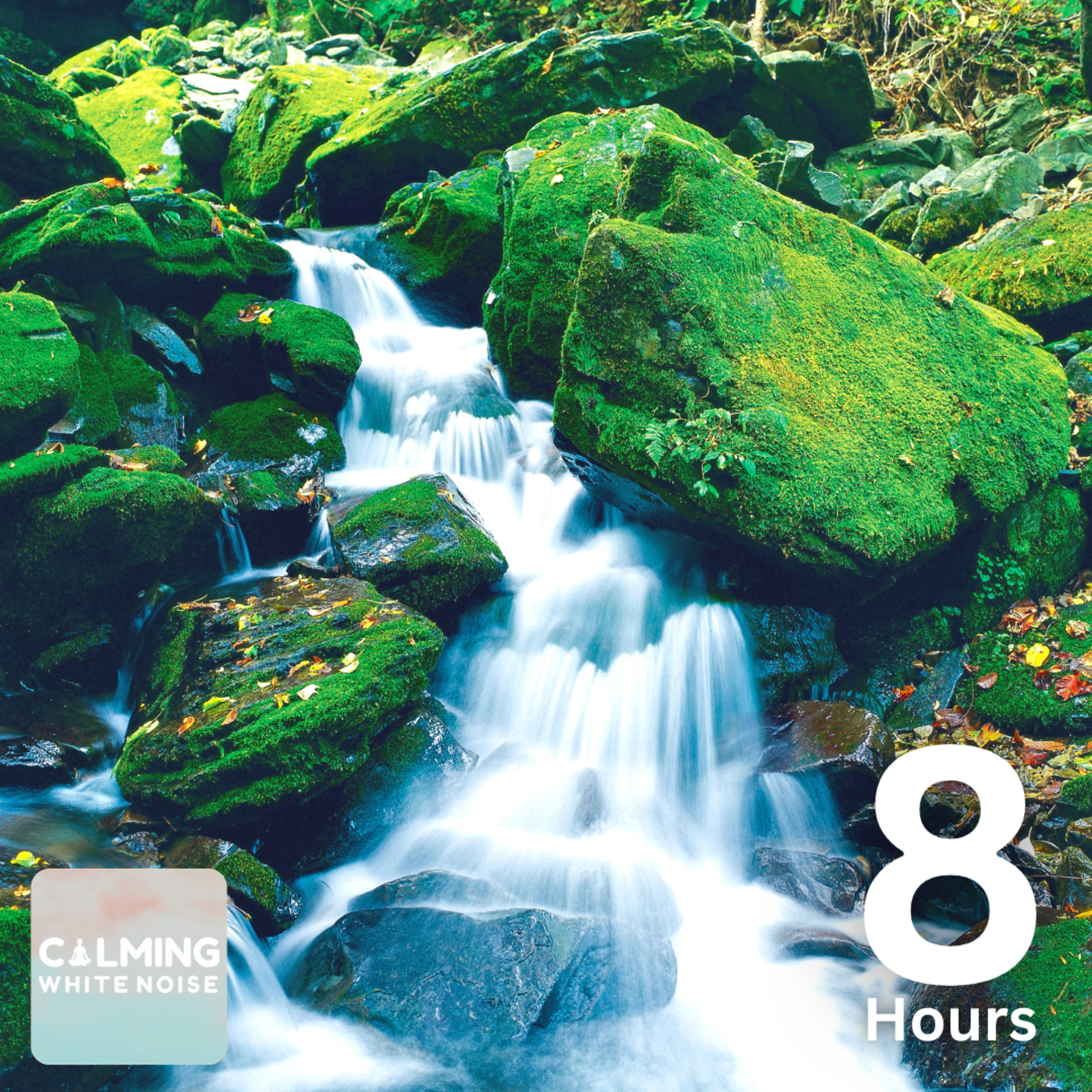 Relaxing Stream Sounds for Stress Relief (8 Hours) | Morning Meditation and Relaxation