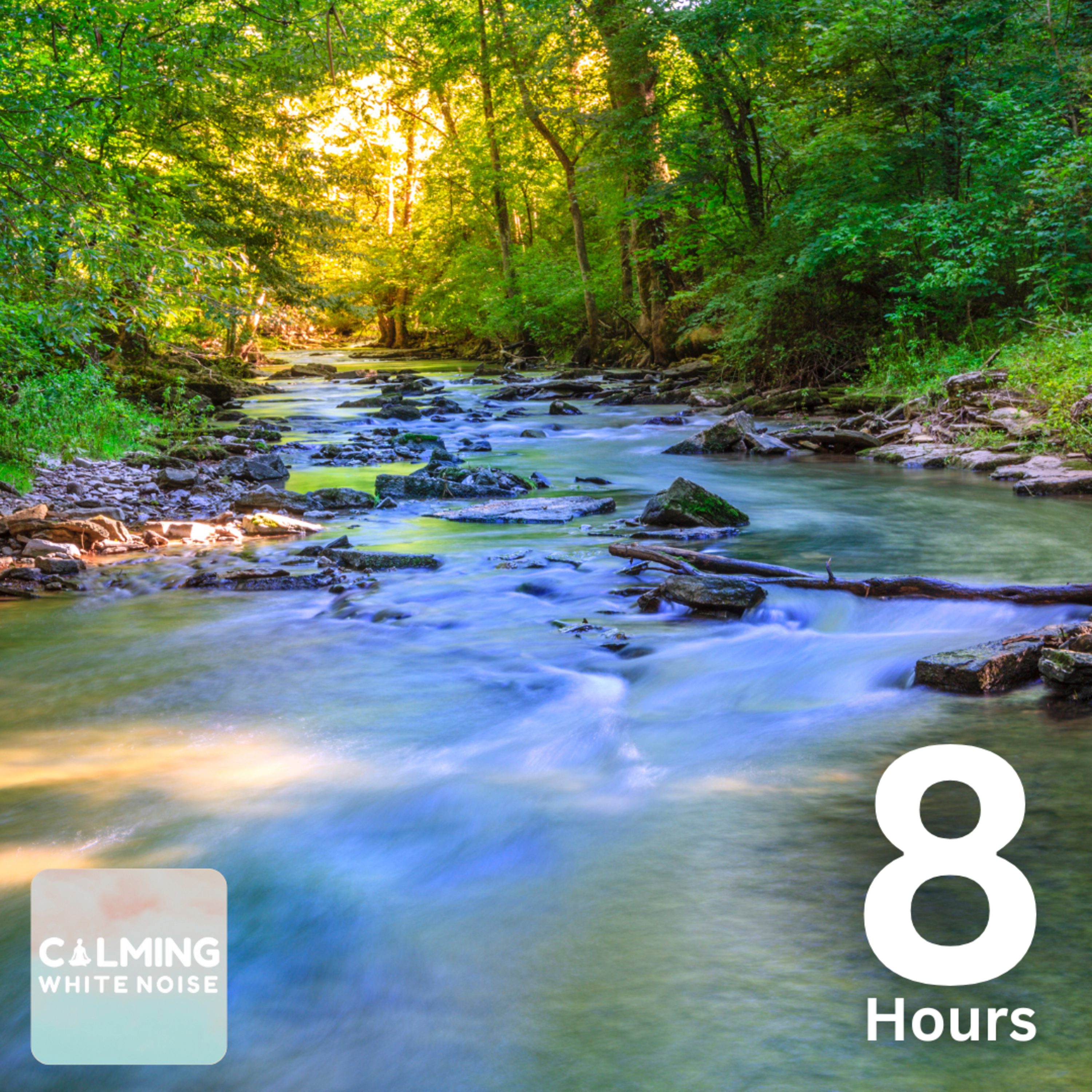 Gentle Stream Sounds (8 Hours) | Relaxing Forest Sounds for a Positive Mindset episode artwork