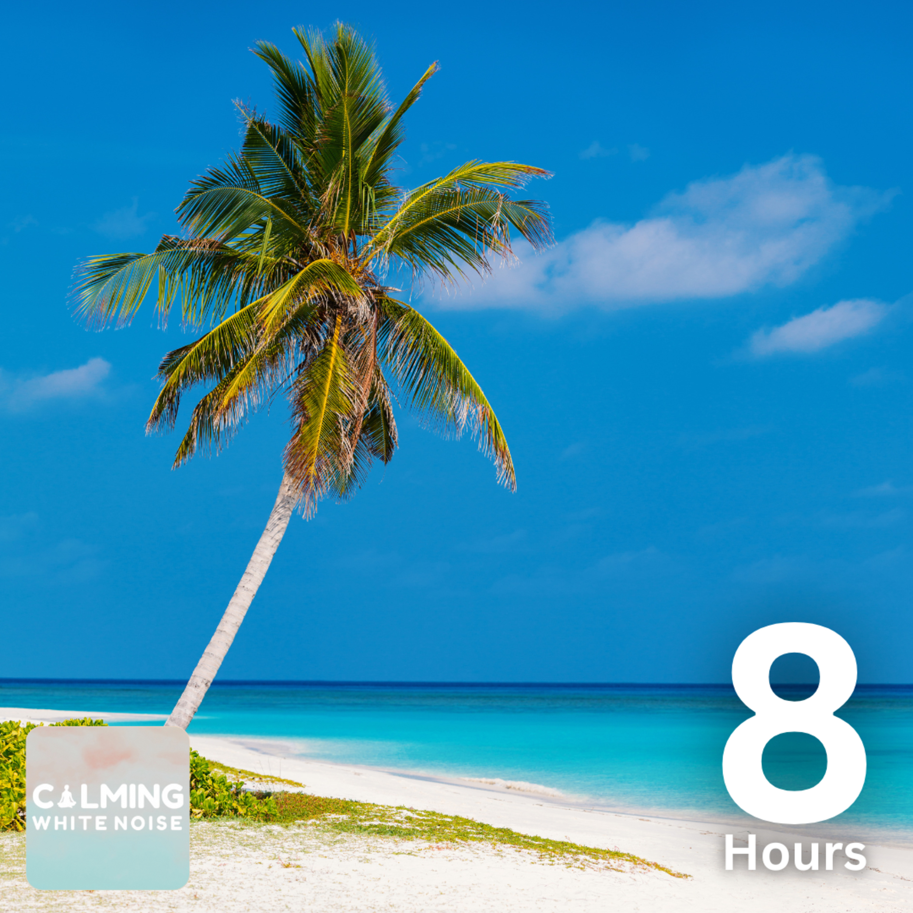 Tropical Island Ambience | 8 Hours of Relaxing Ocean Sounds episode artwork