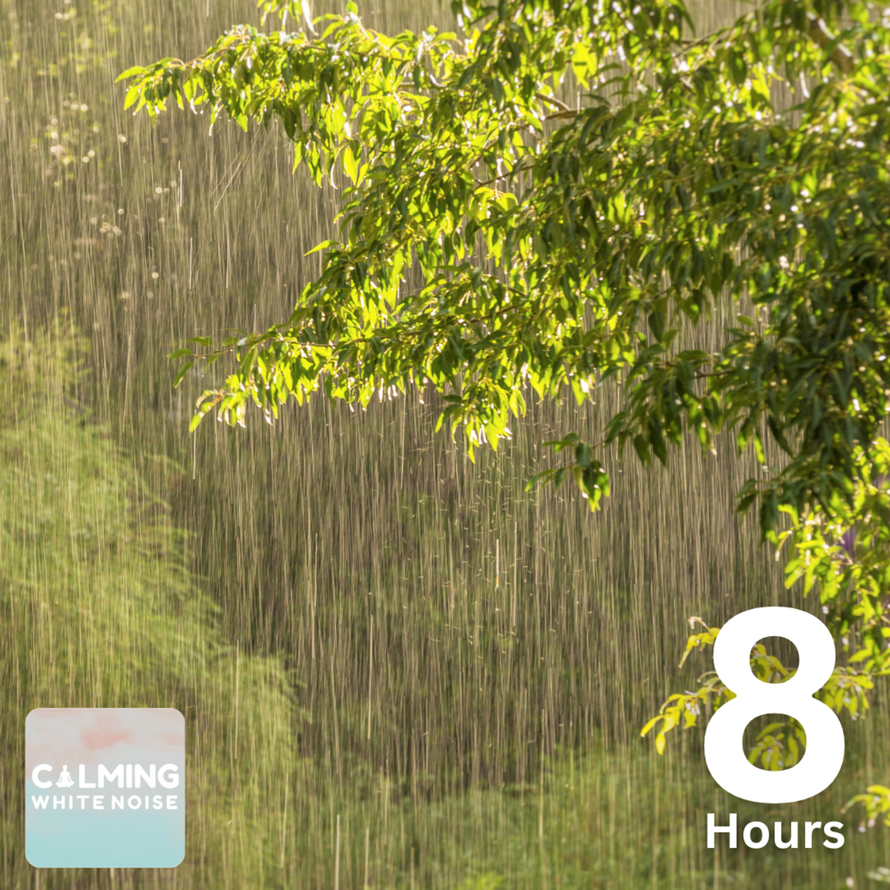 Sleep Like a Baby! Gentle Rain Sounds to Fall Asleep Fast (8 Hours) episode artwork
