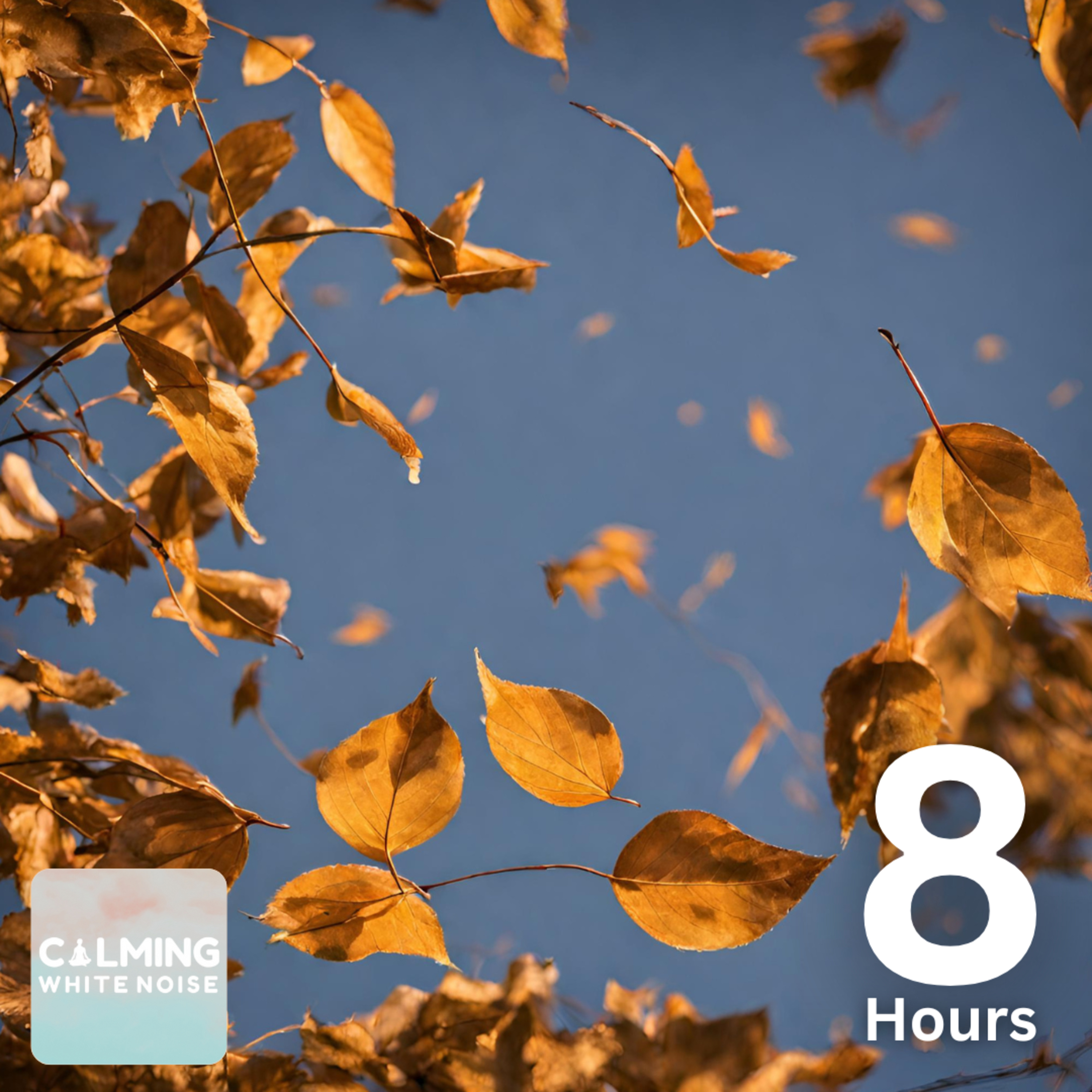 Wind Sounds for Sleeping (8 Hours) | Rustling Leaves in Wind White Noise