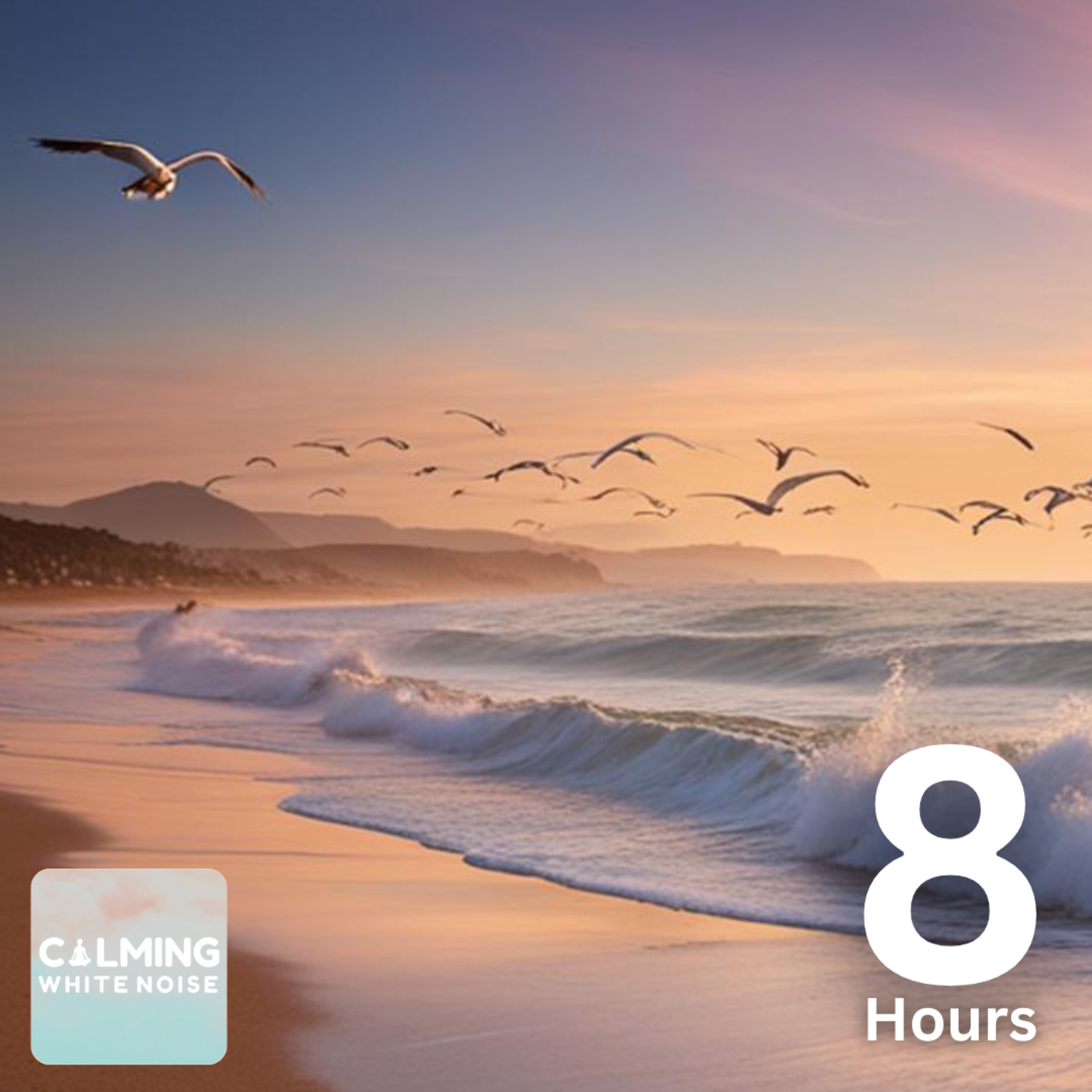🌊 Ocean Waves and Seagulls (8 Hours) | Coastal Relaxation for Stress Relief episode artwork