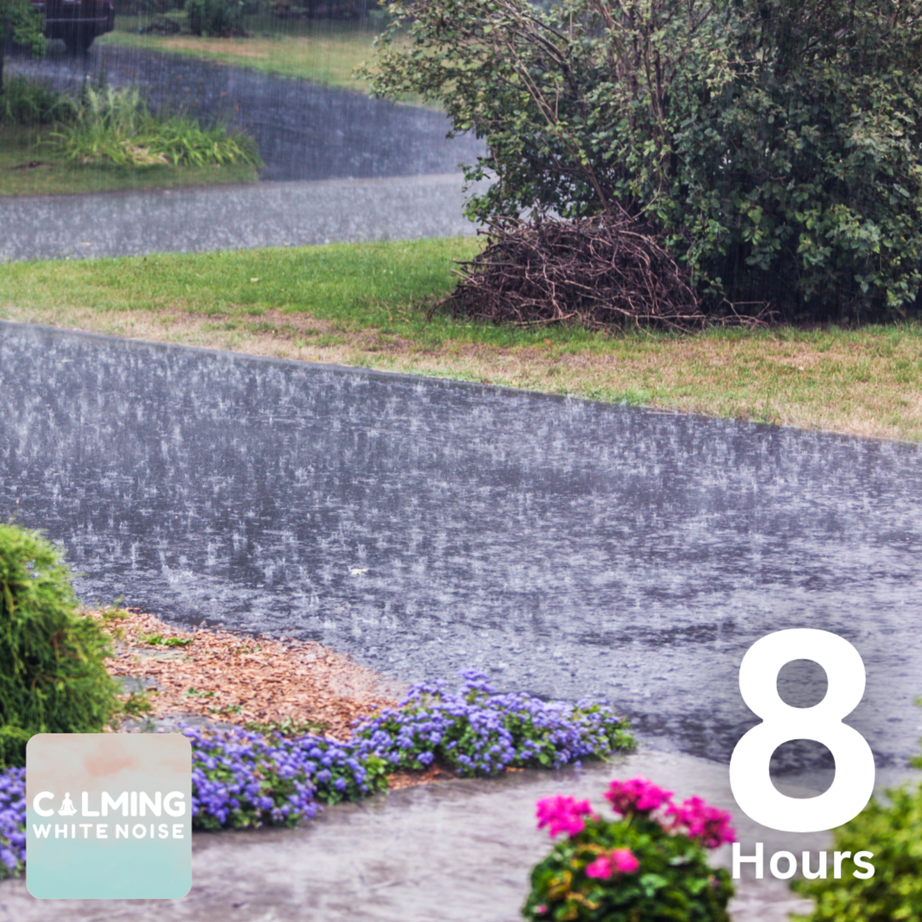 Rain on Driveway ASMR (8 Hours) | Rainstorm White Noise for Better Sleep episode artwork