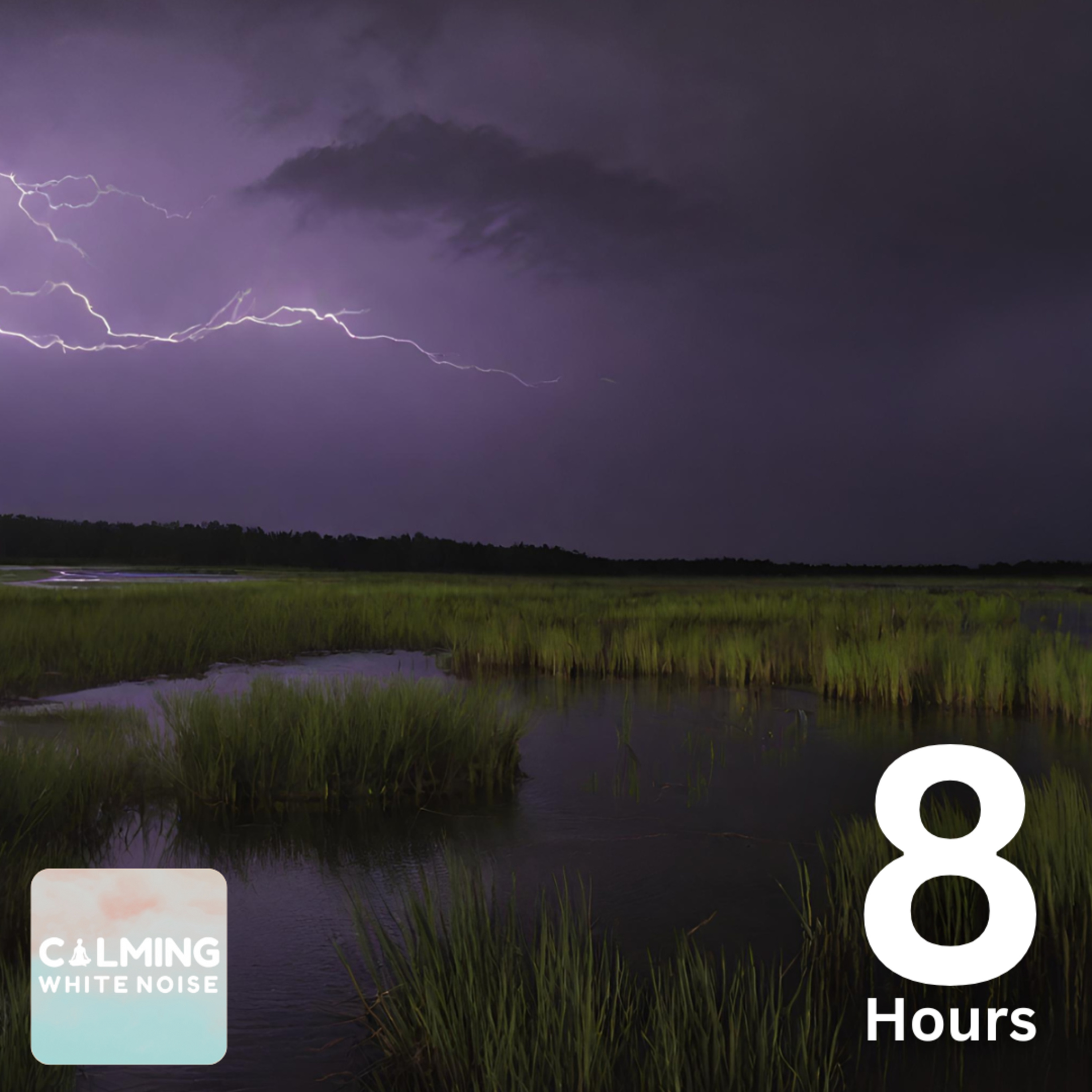 😴 Stormy Marsh Ambience (8 Hours) | Rain and Thunder with Crickets & Frog Sounds for Sleep or Relaxation episode artwork