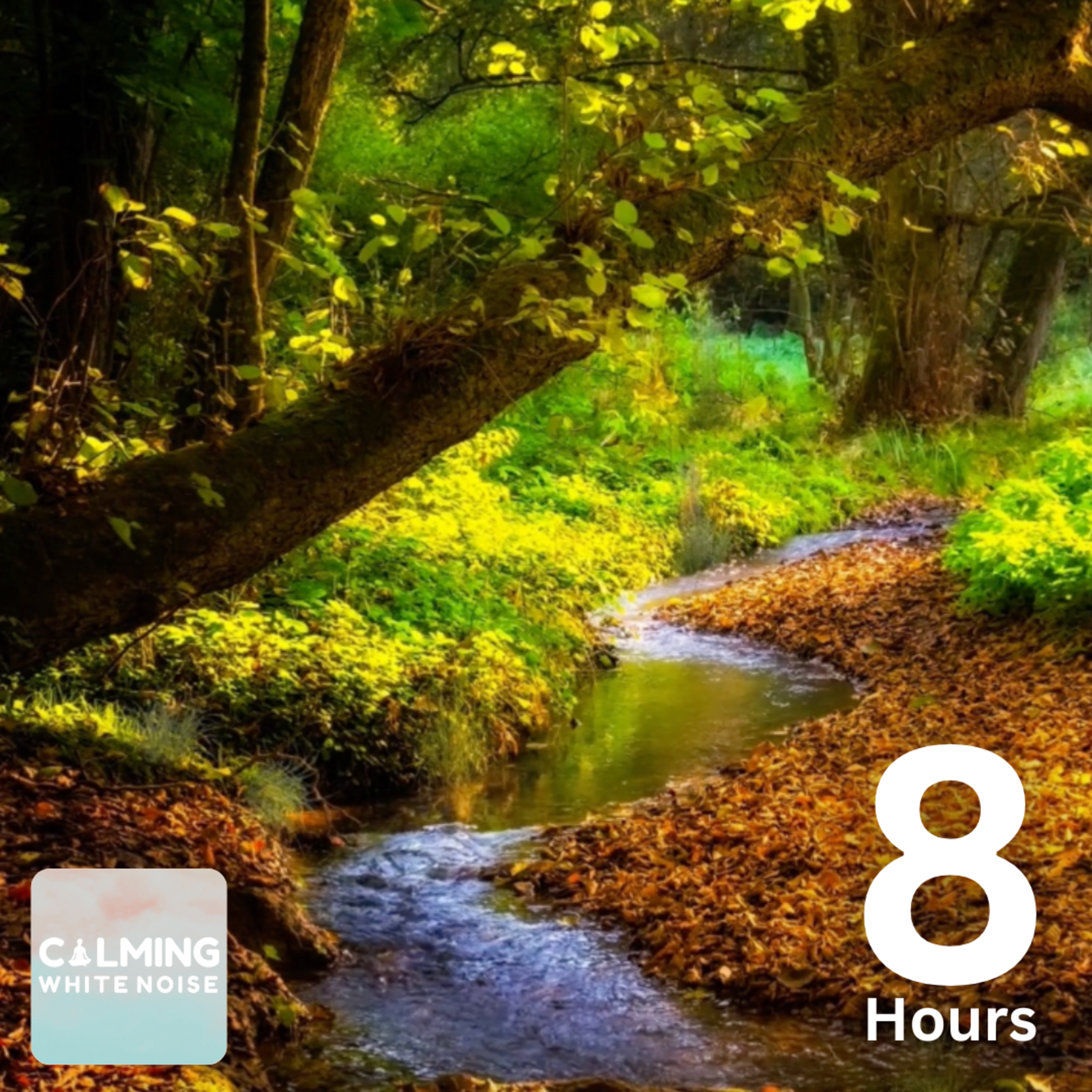 Gentle Stream Sounds (8 Hours) | Sound of Water for Relaxation and Meditation