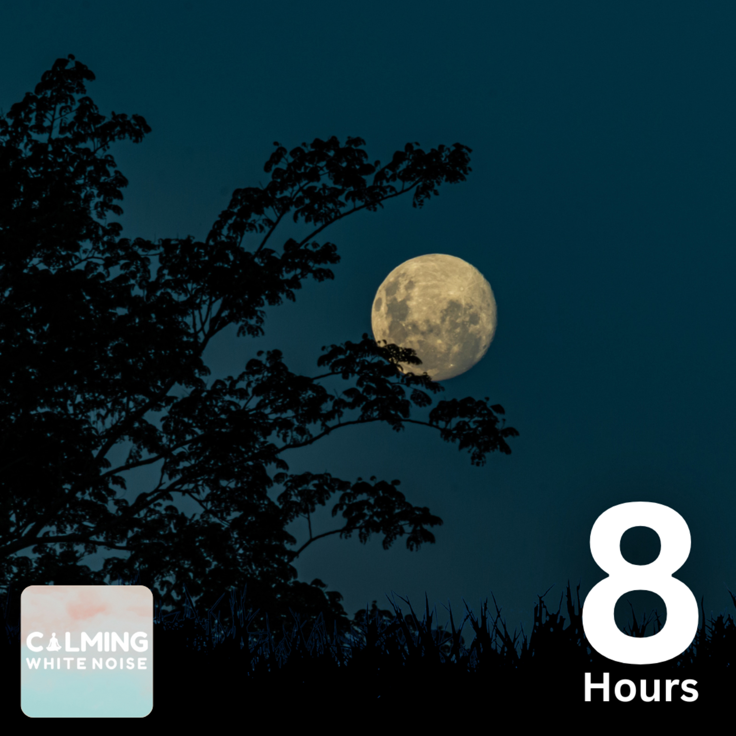 Crickets Chirping by the Stream | Peaceful Nature Sounds for Sleep and Relaxation episode artwork